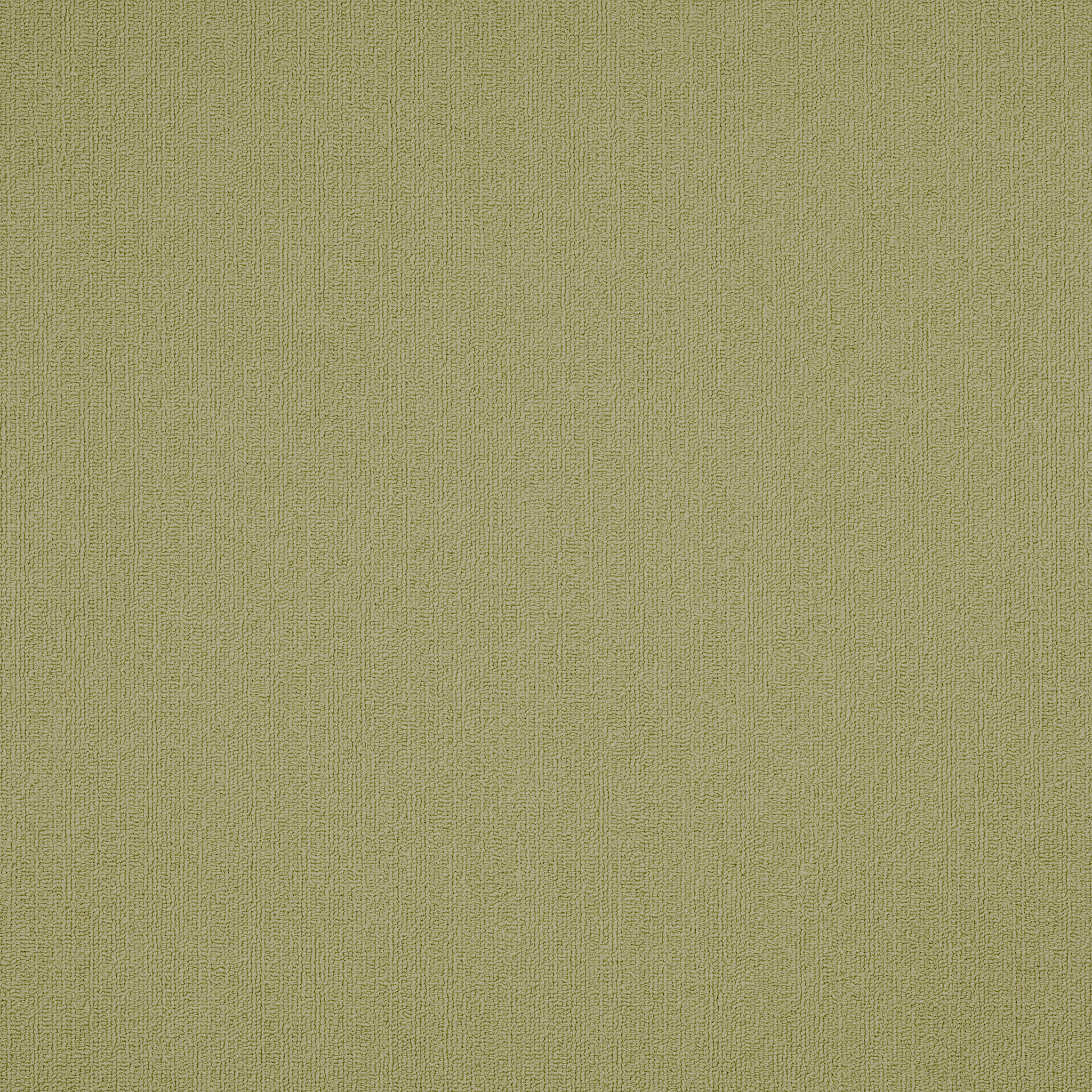 COLOR-ACCENTS-54462-FESCUE-62545-main-image