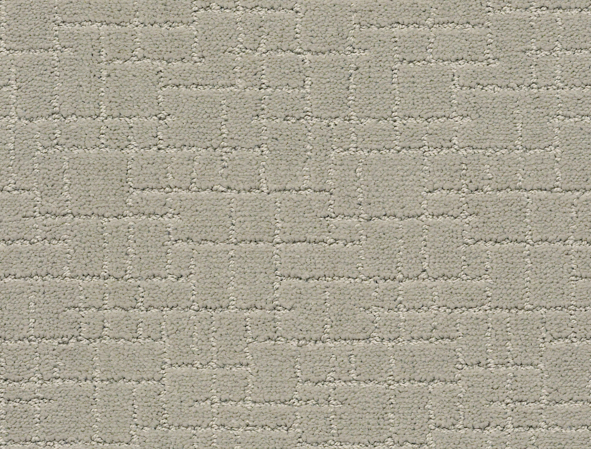 FAUX PAW MEDITATION MAIN