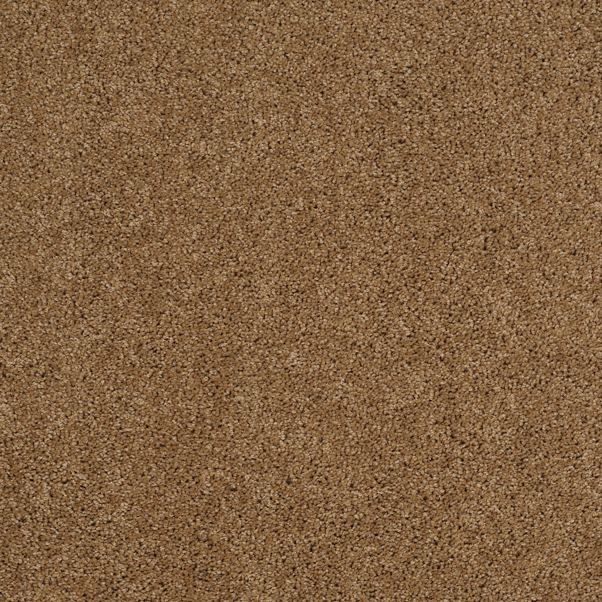 EMBARK LEATHER BOUND MAIN