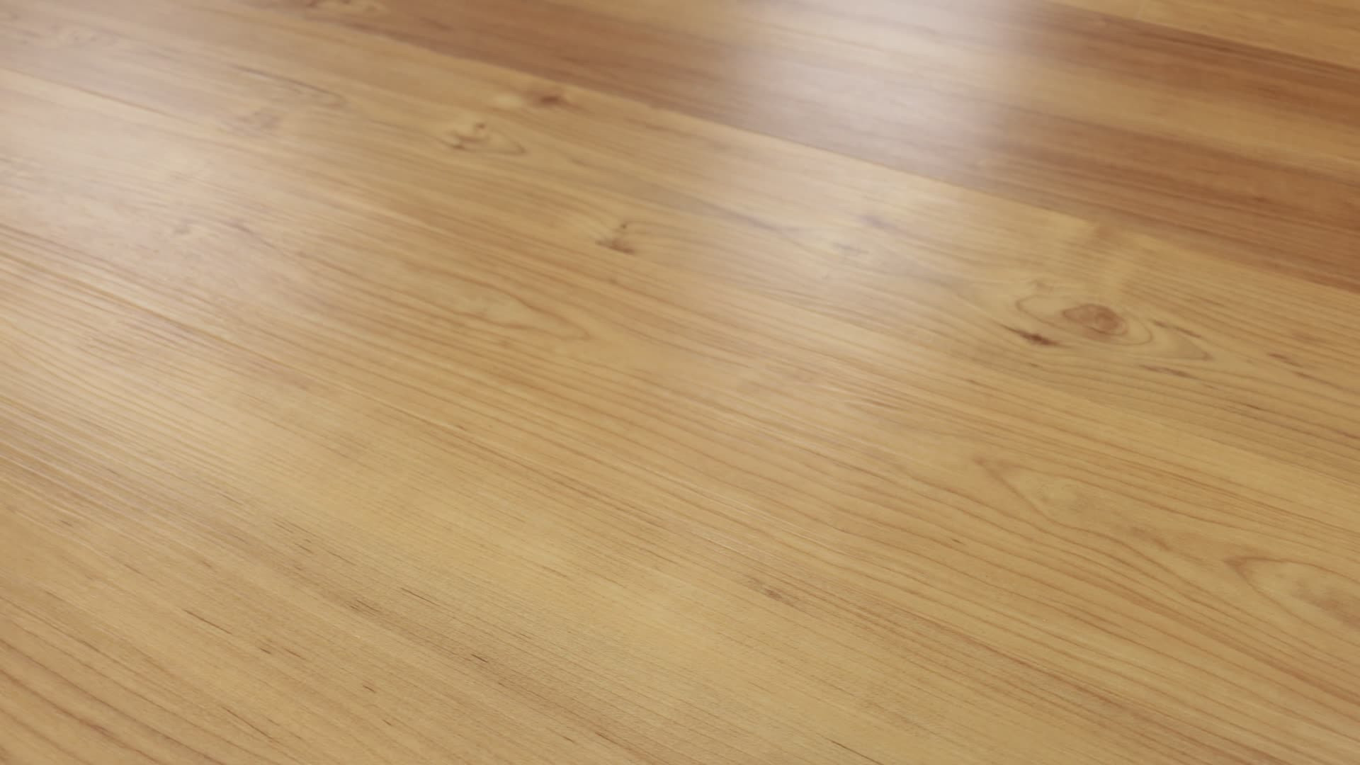 Stratum 500 Allegheny Maple Rotation360