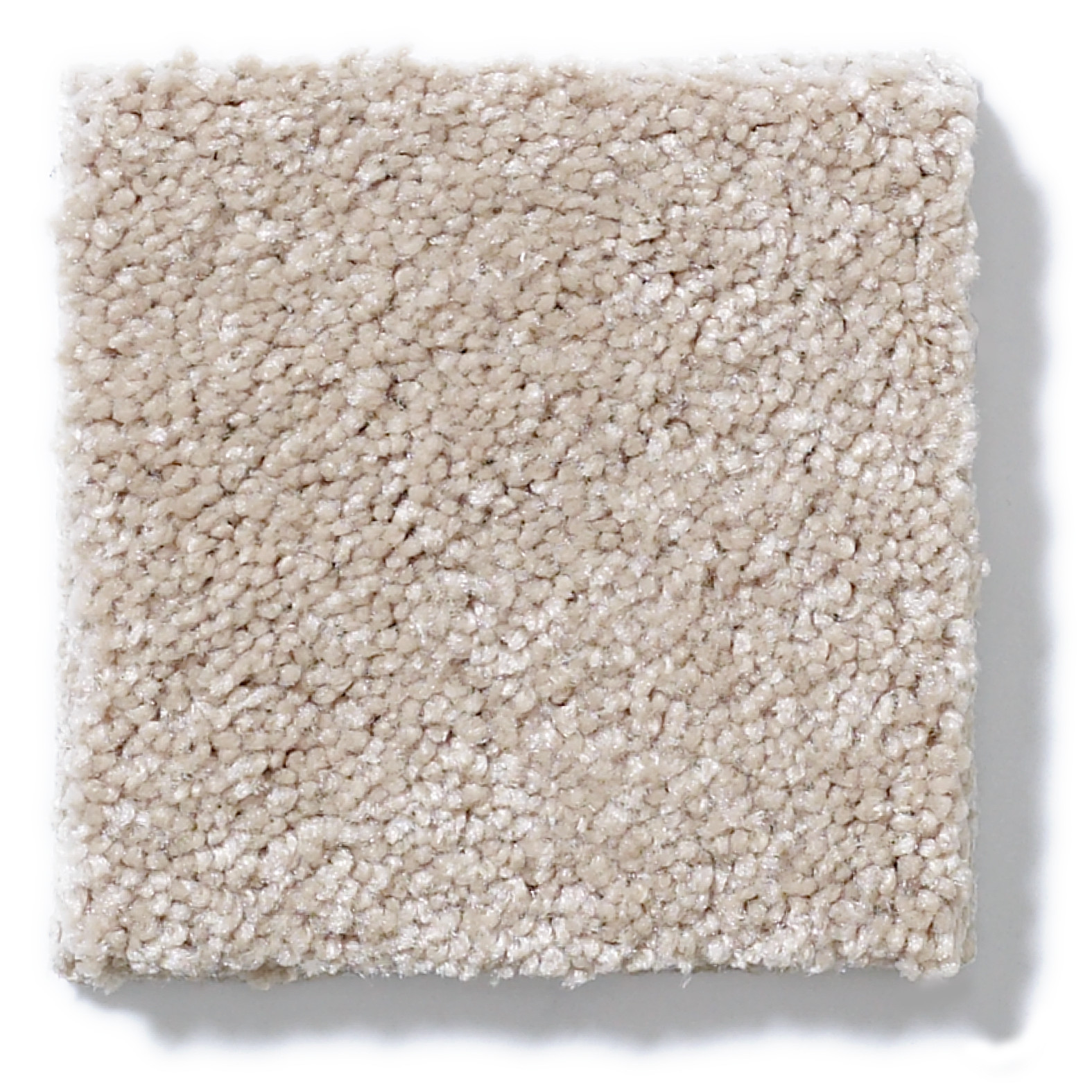 BEAUTIFULLY SIMPLE FRENCH CANVAS SWATCH