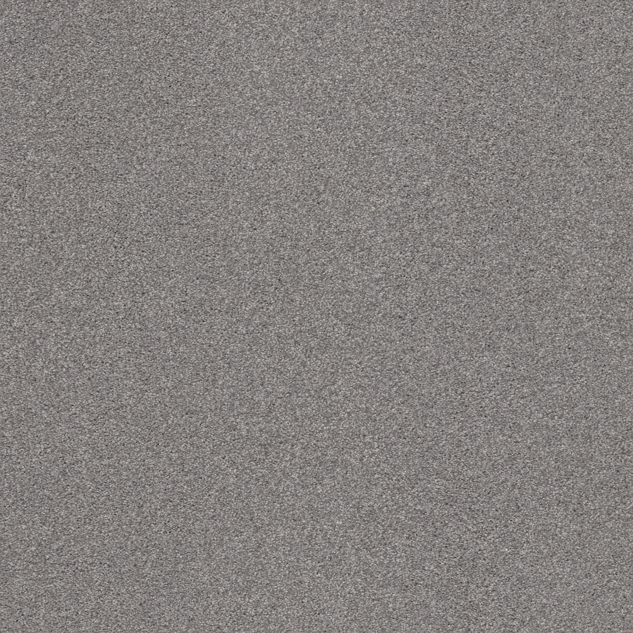 COZY HARBOR II GROUNDED GRAY MAIN