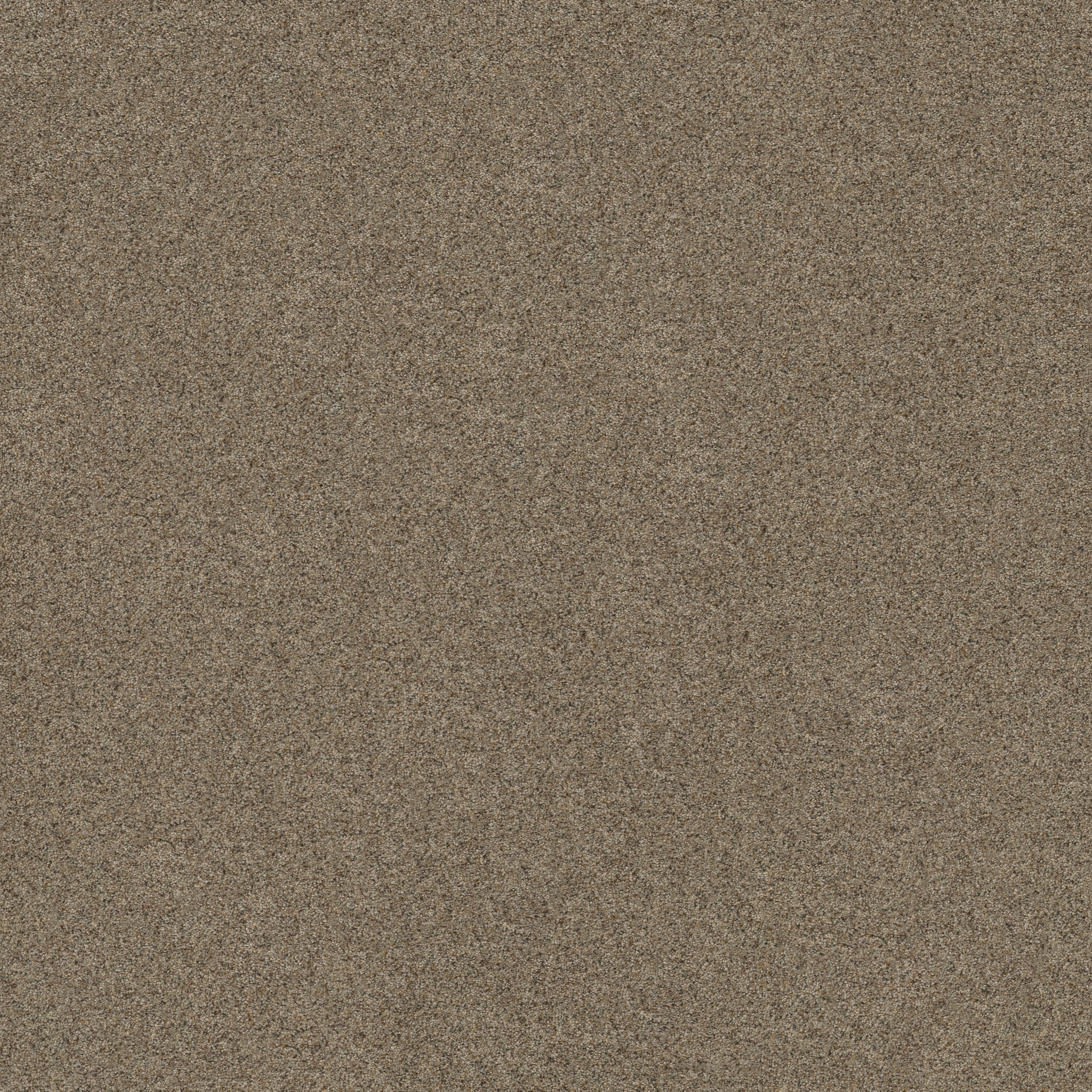 Topanga Canyon OXFORD MAIN