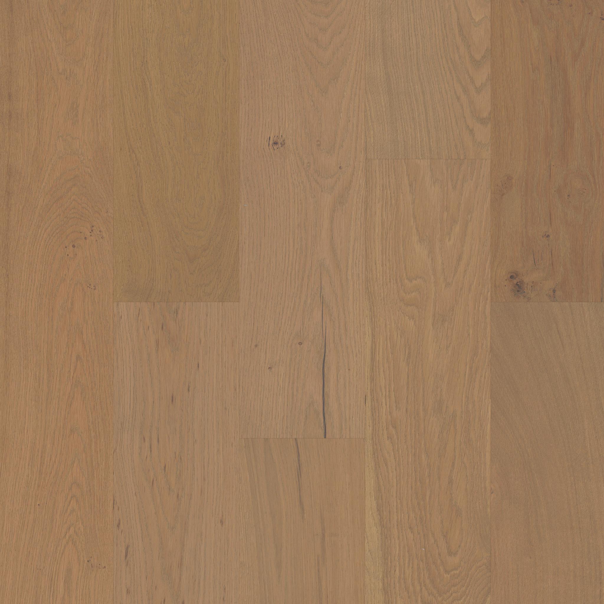 Couture Oak by Shaw Floors