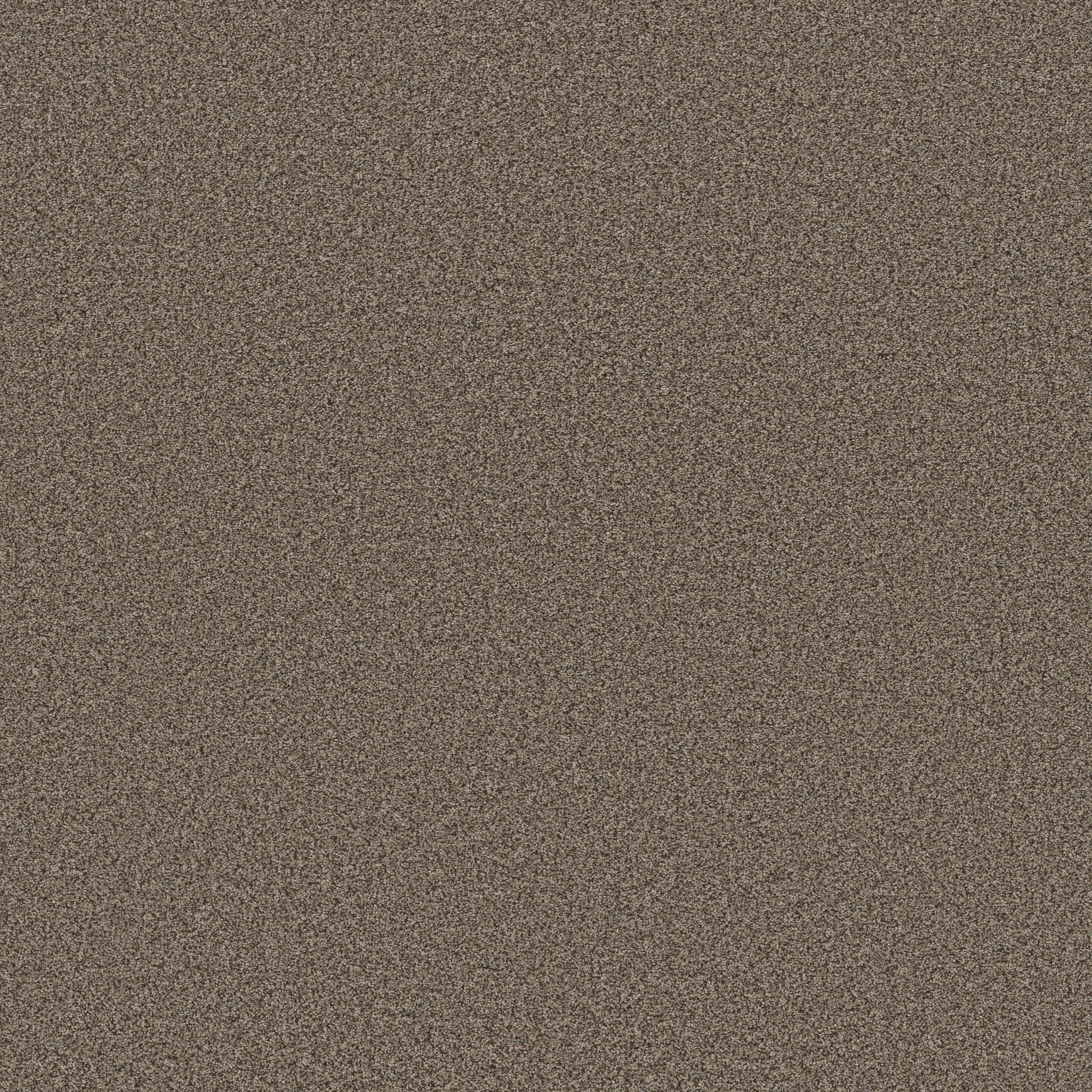 AVALON BAY SMOKEHOUSE MAIN