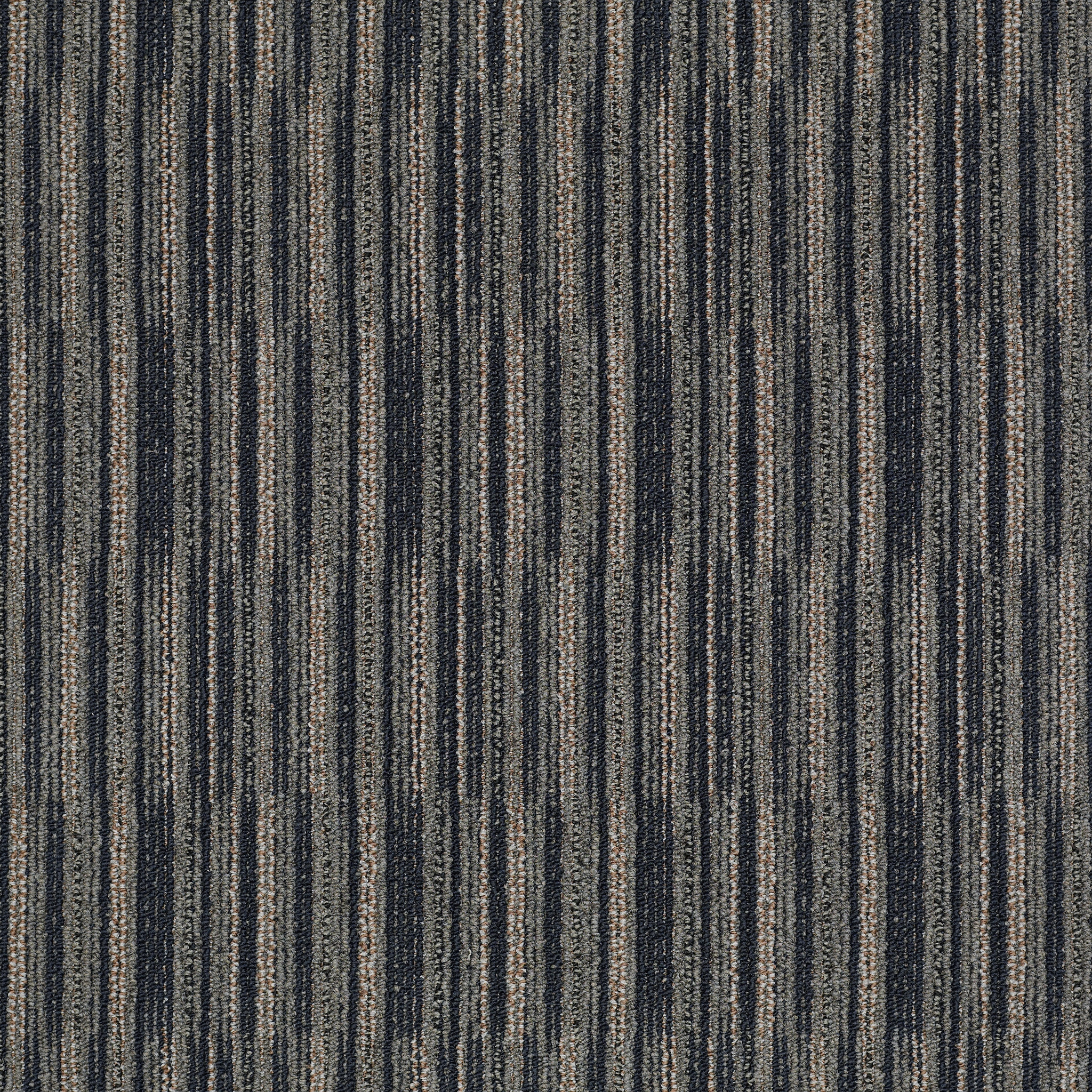 CUTAWAY-J0181-PORTION-81402-main-image