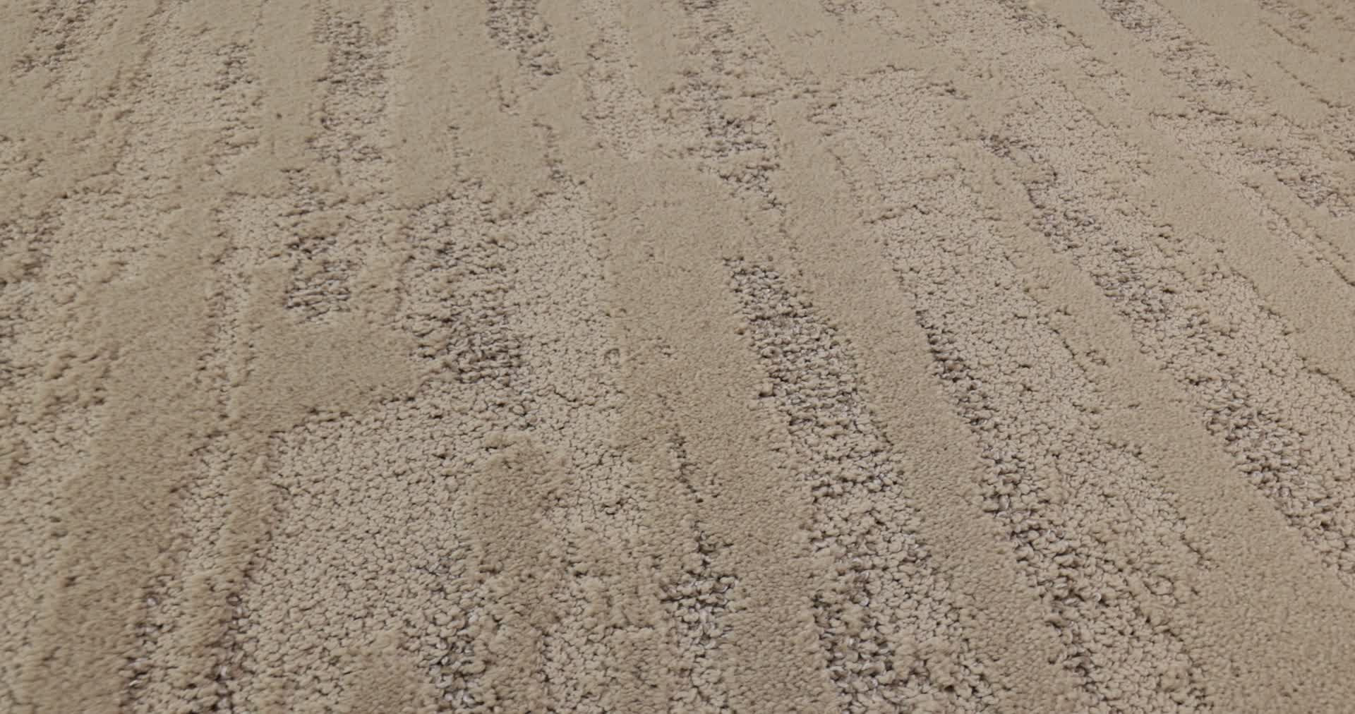 Tranquil Spirit WORN PATH 360PROD