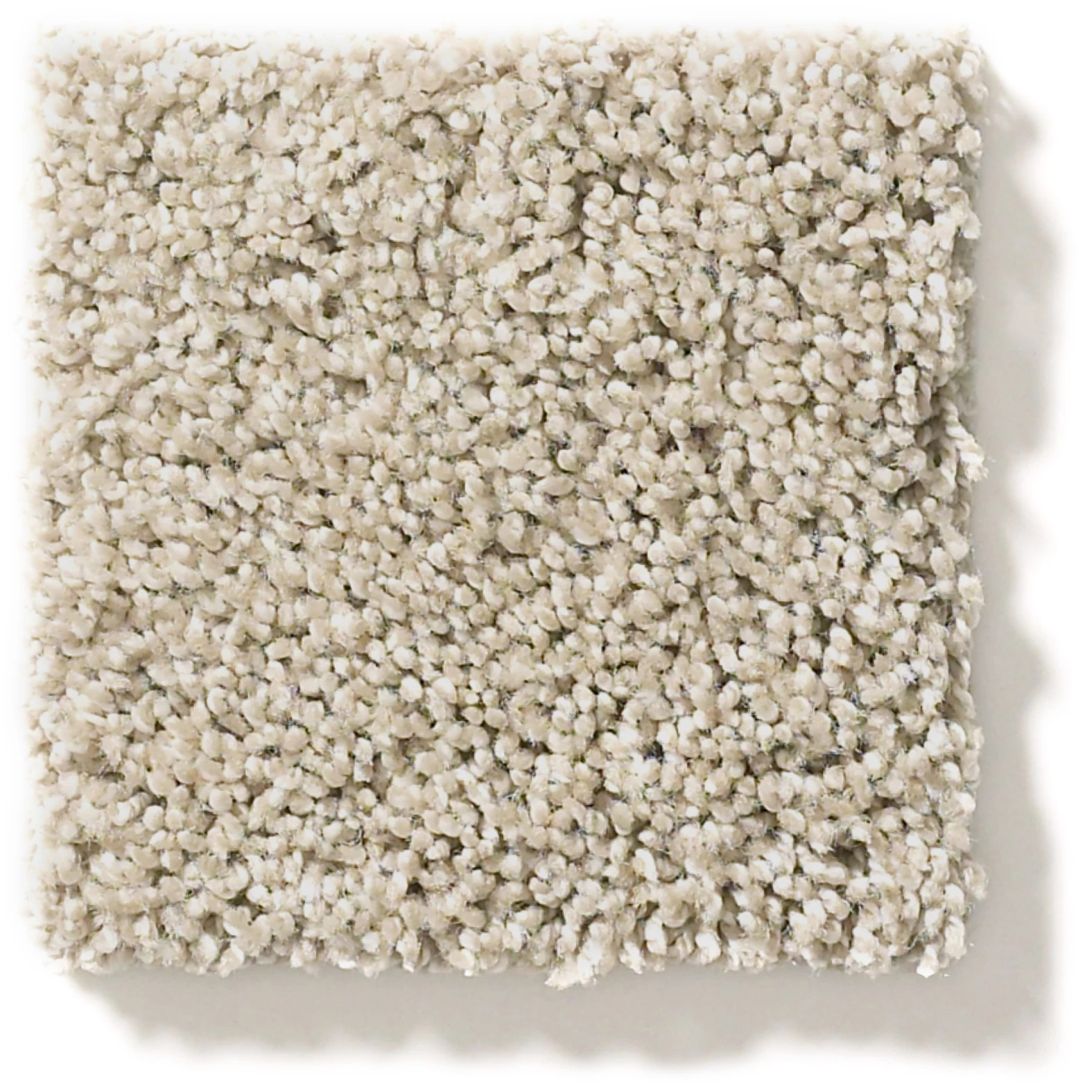 OCEAN VIEW SHALE SWATCH