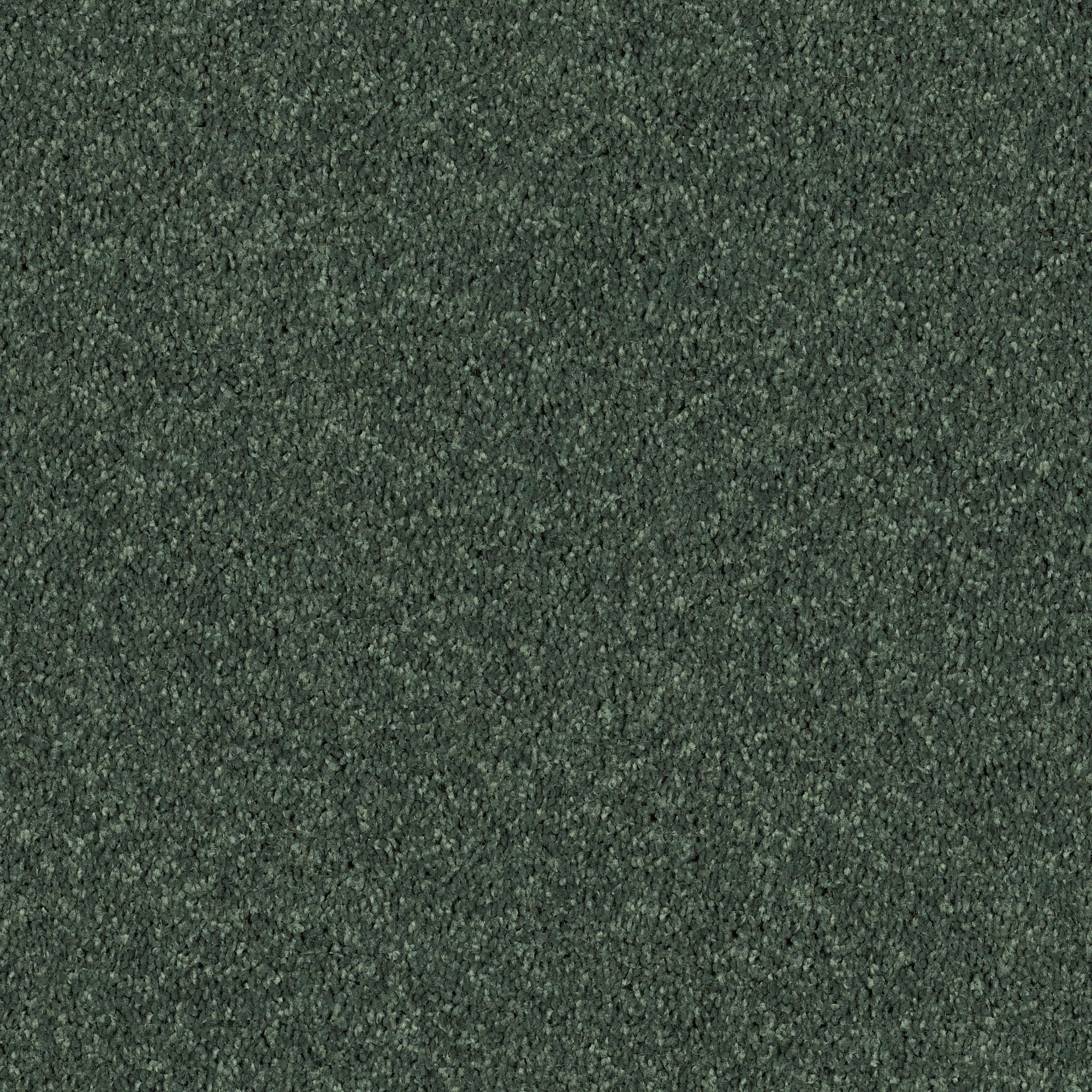 POINT GUARD 15' GOING GREEN MAIN