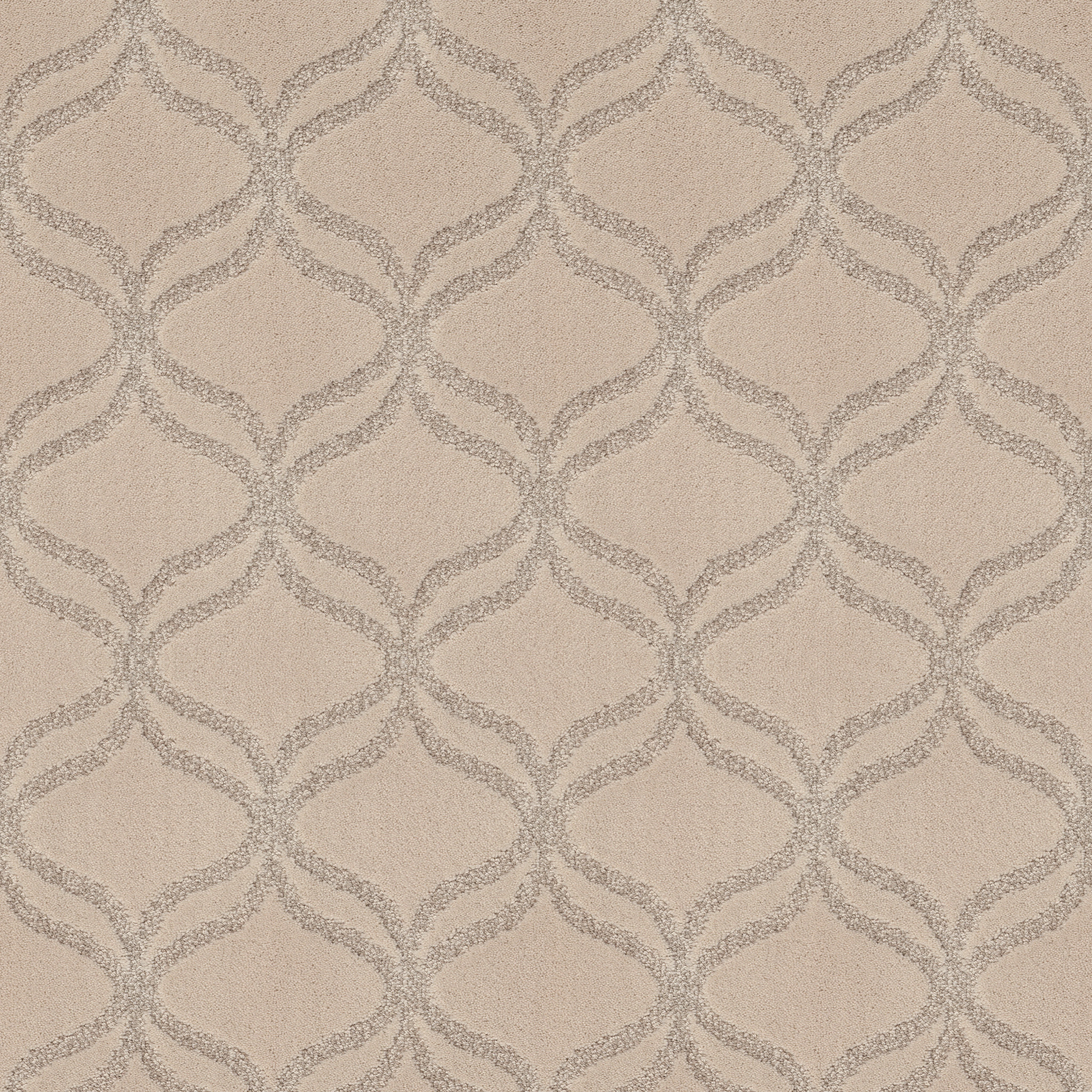 APPRECIATION GREAT FALLS MAIN