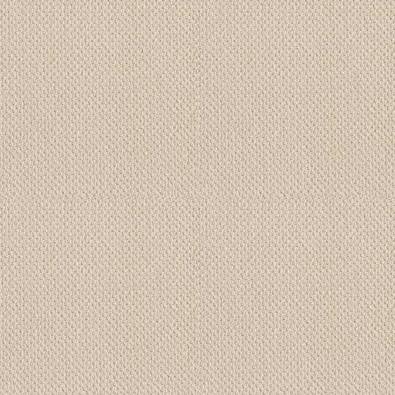 Artist View Loop EA566 Broadloom Carpet in Rocky Coast color, made of 100% nylon, 12ft wide, Berber loop construction.
