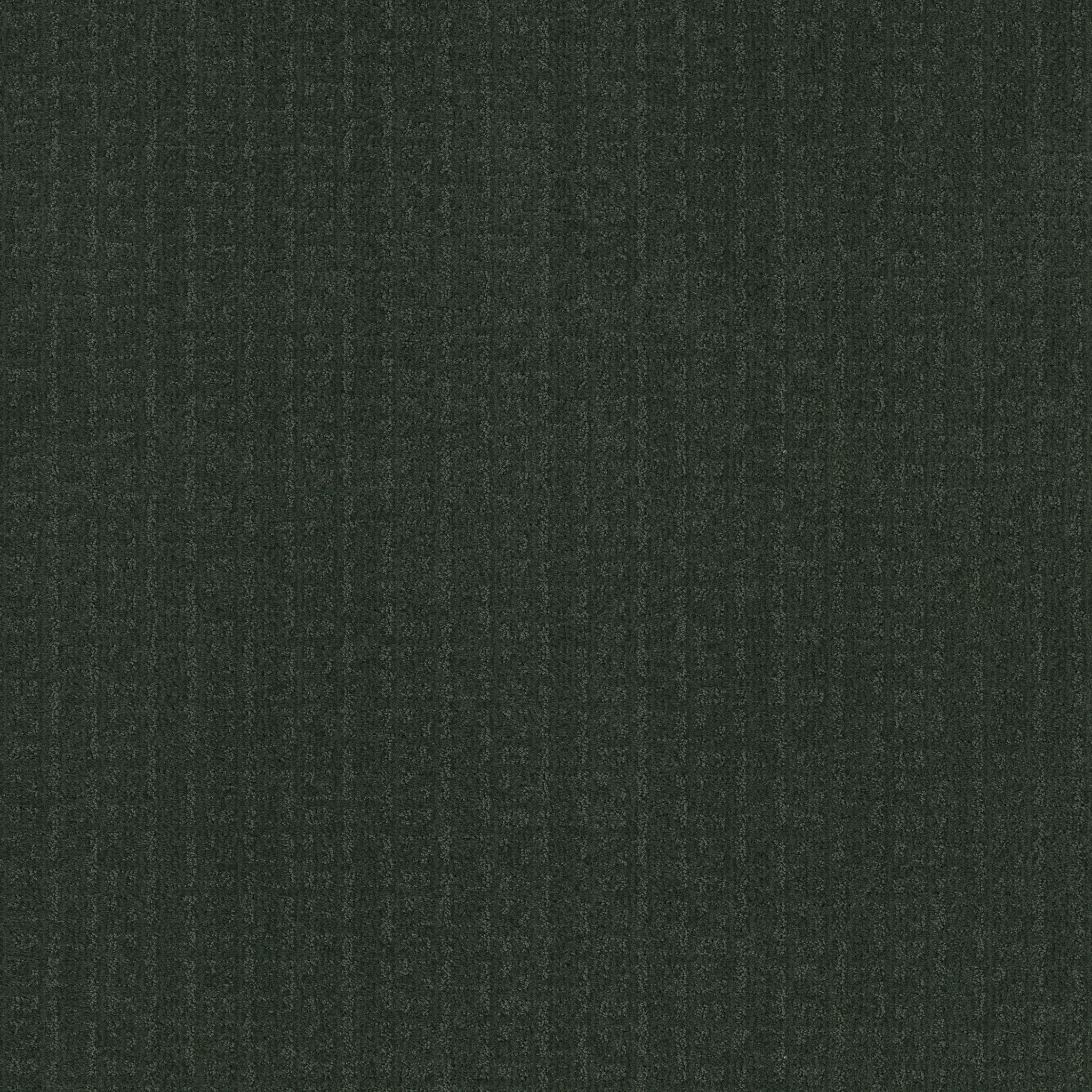 VIGNETTE DEEP PINE MAIN