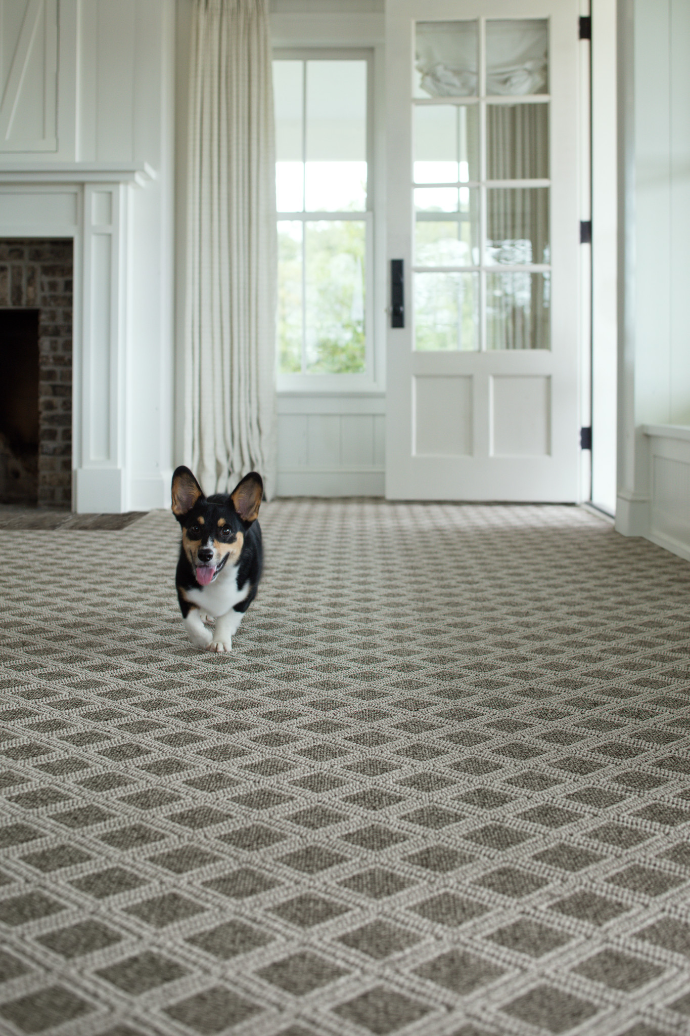 SCOUT DESERT PALM StaticImage03