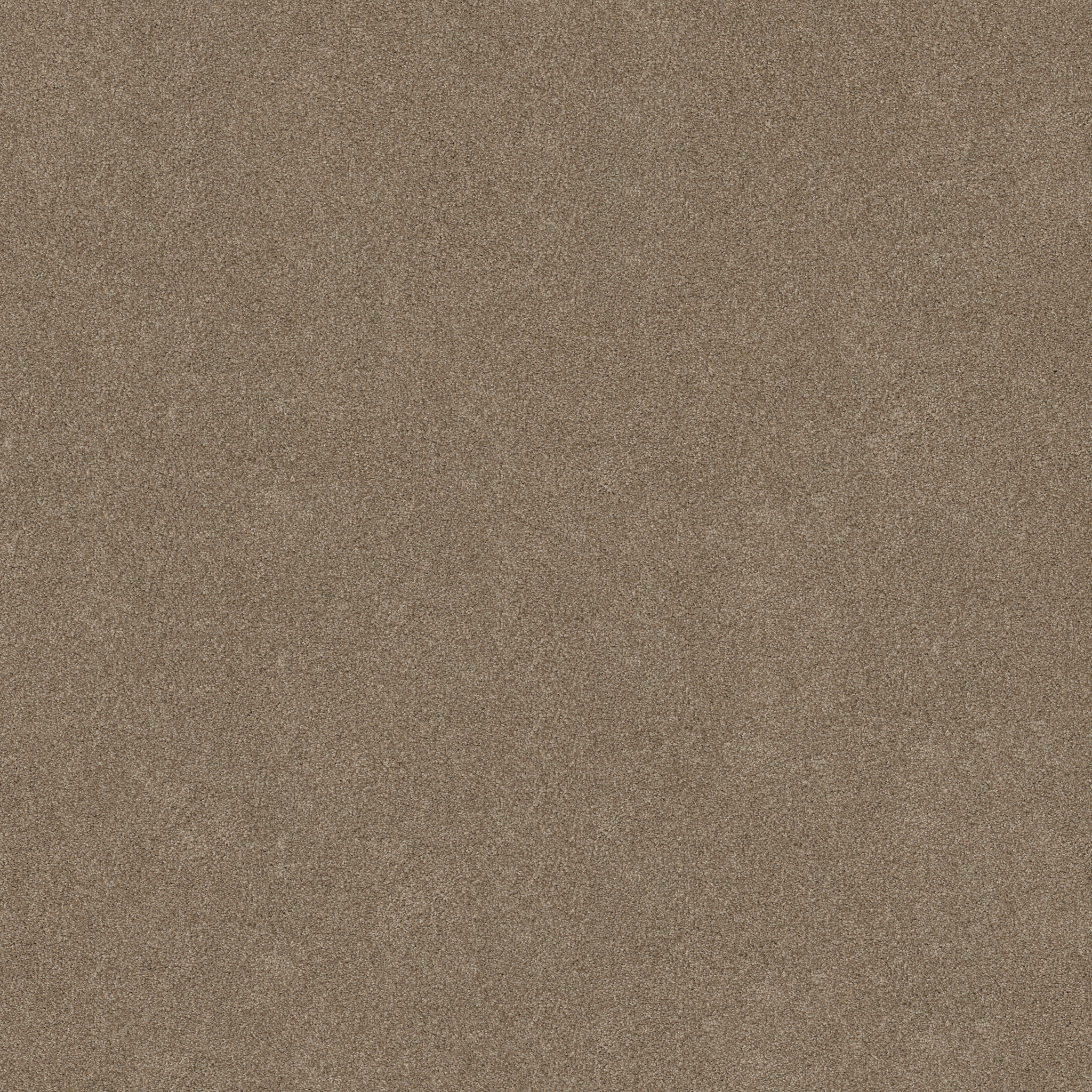 FANTASTICAL MOLE HILL MAIN