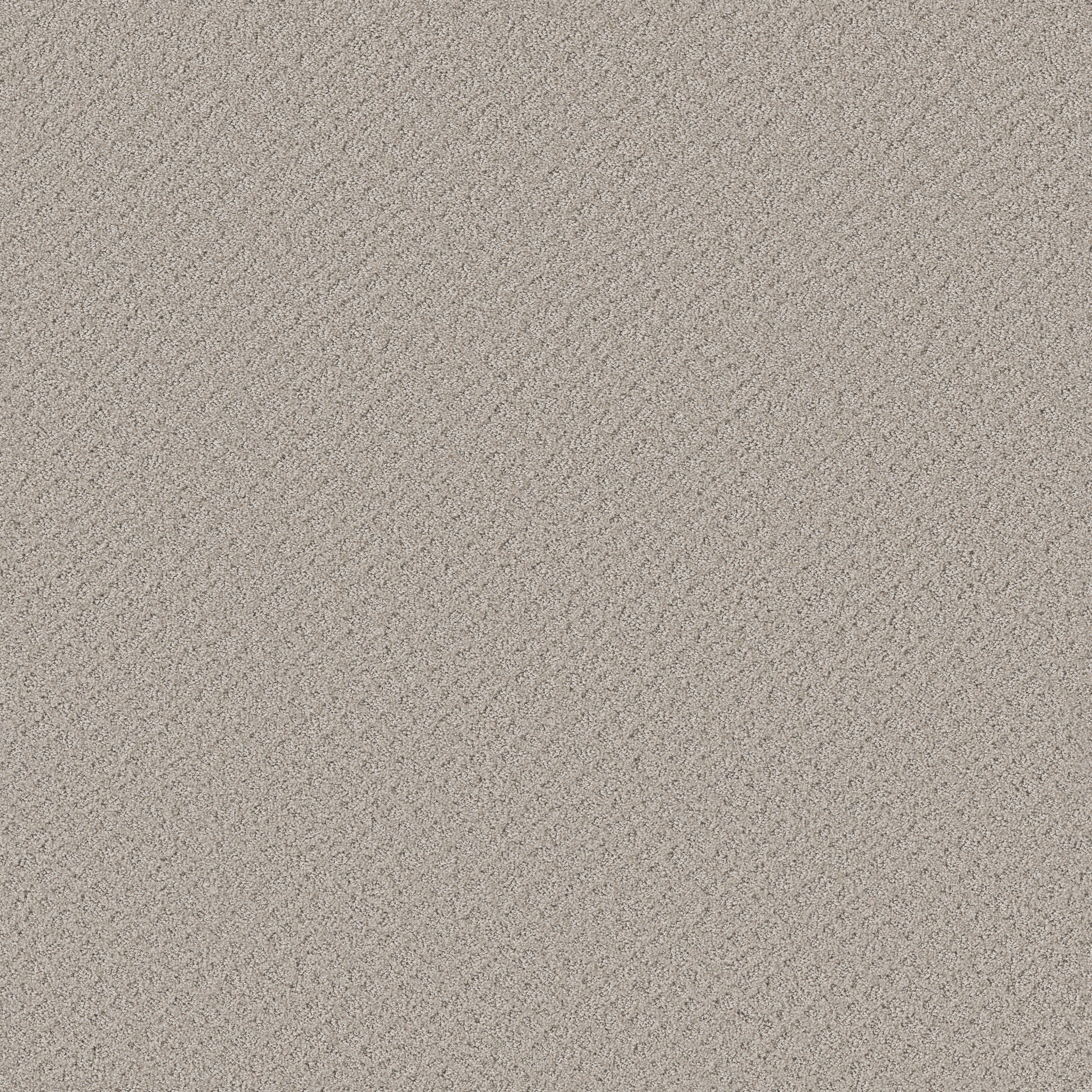 CHIC SHADES SPLIT SEDIMENT MAIN