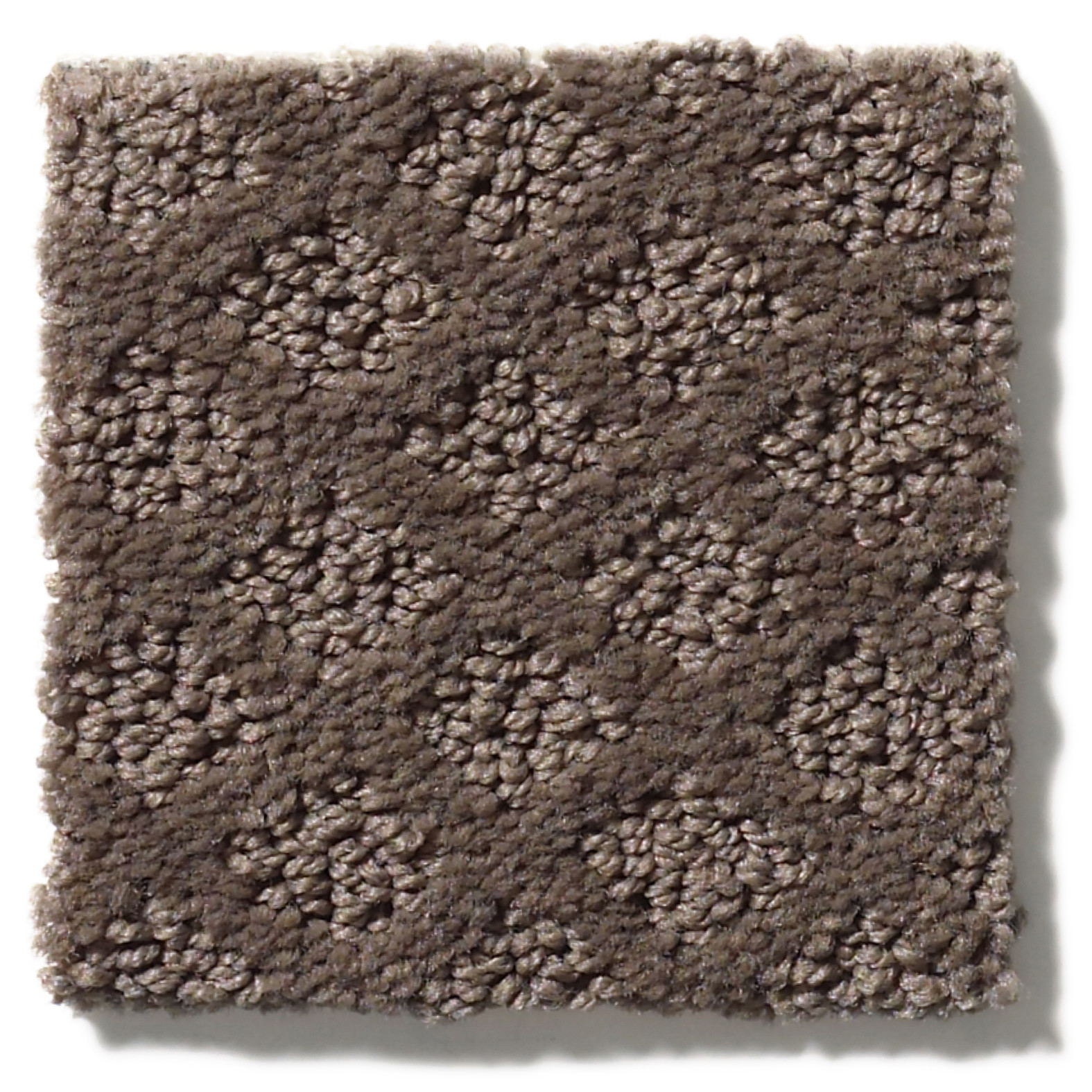 ENTWINED WITH YOU FRONT GATE SWATCH