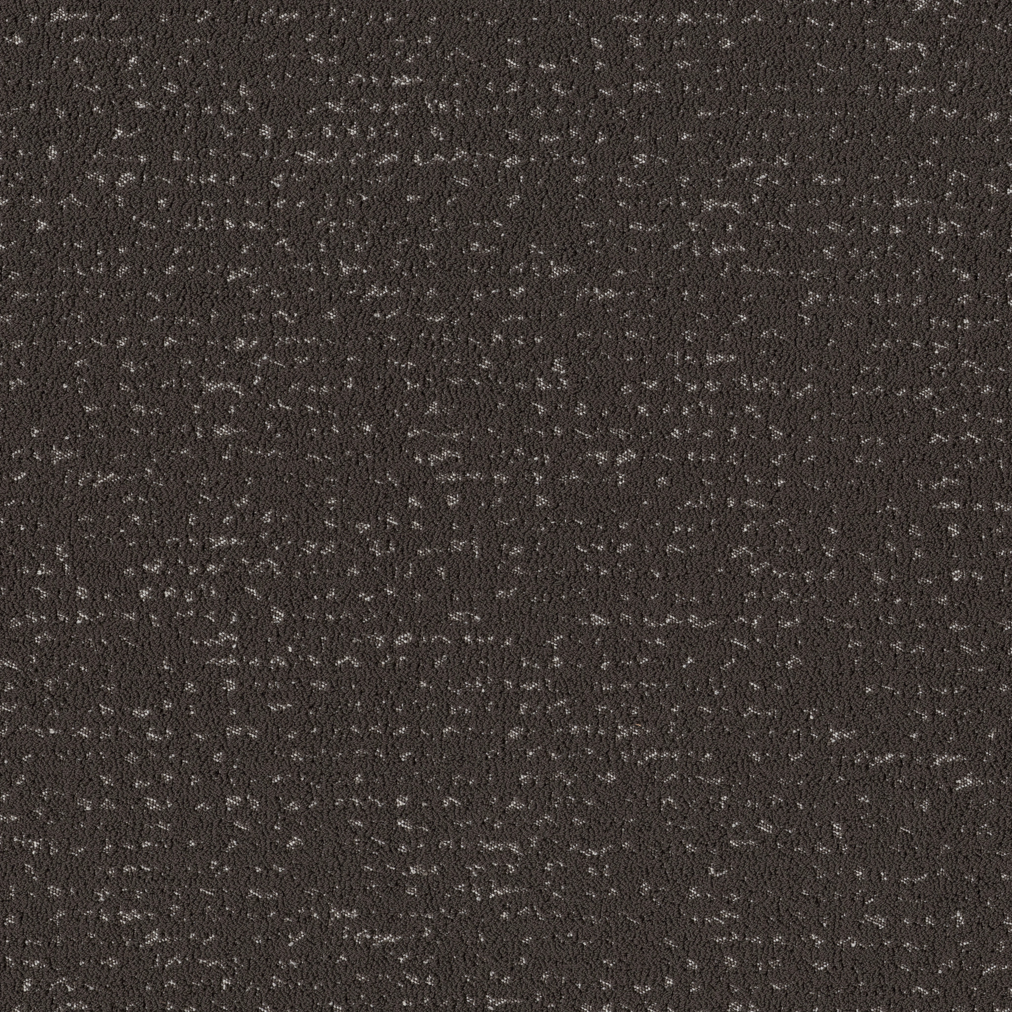 TANGENT CHARCOALS MAIN