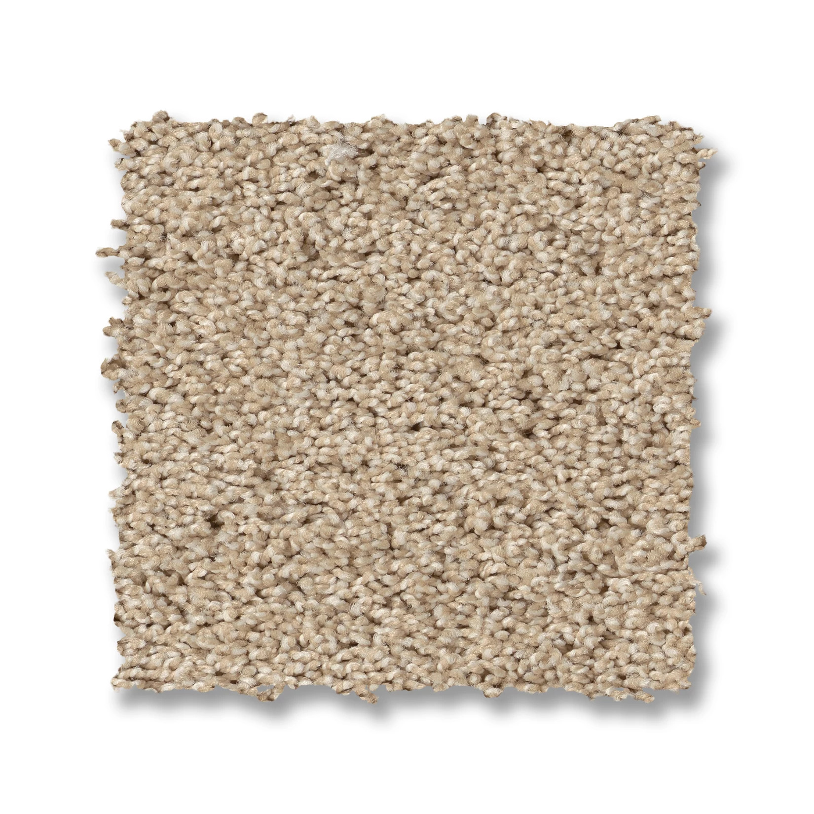 PARK HAVEN DELICATE SWATCH