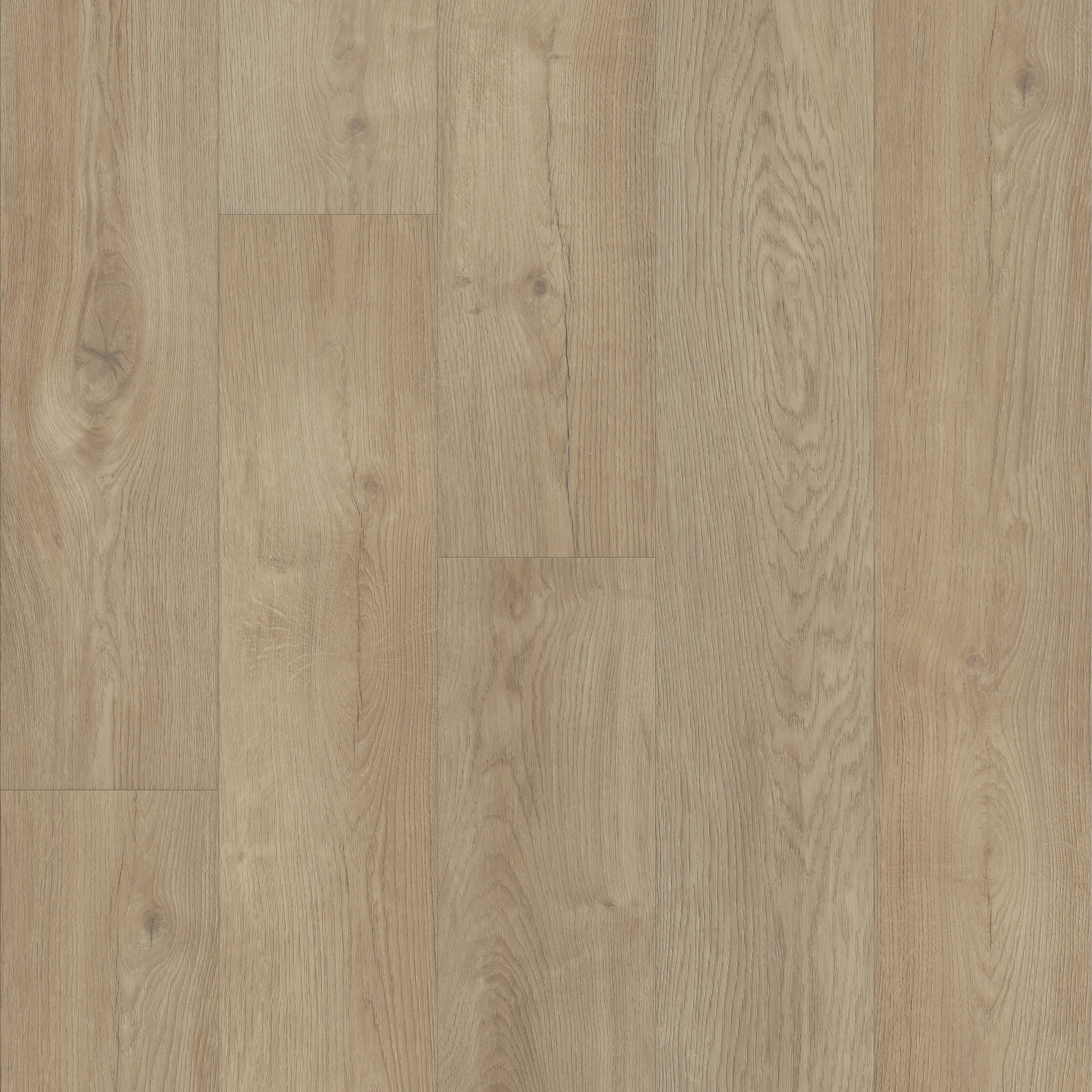 洋楽 PLATINUM PLUS Titan Hd Plus Platinum - in Essential White | Shaw Floors