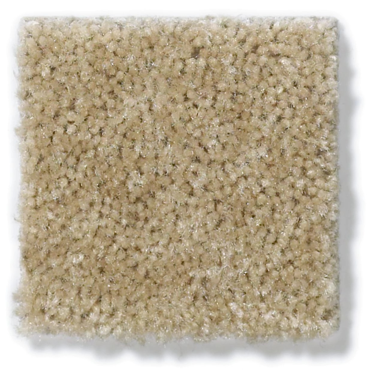 SPRINTER BAJA SWATCH