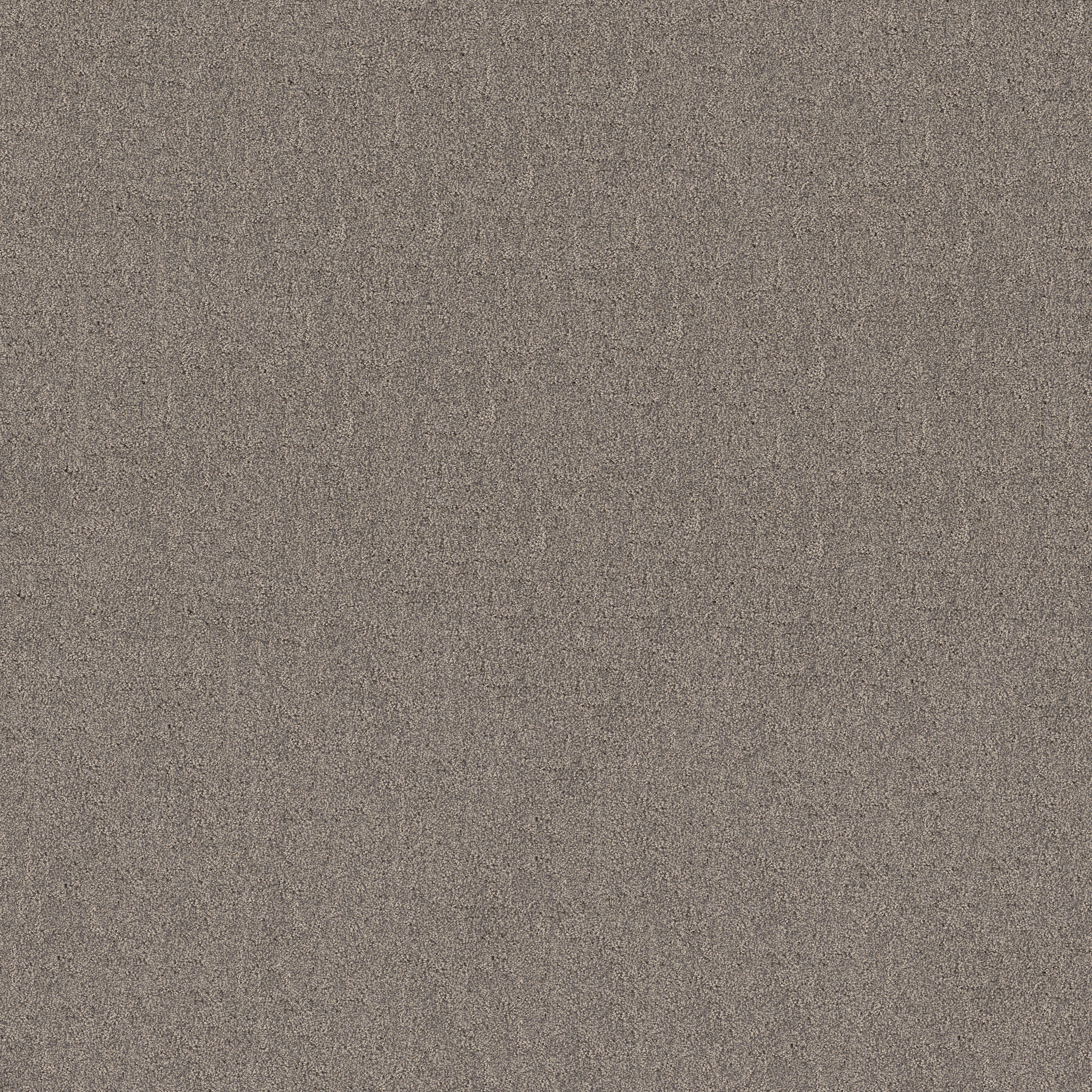 SECRET DESTINATION SHADOWS MAIN