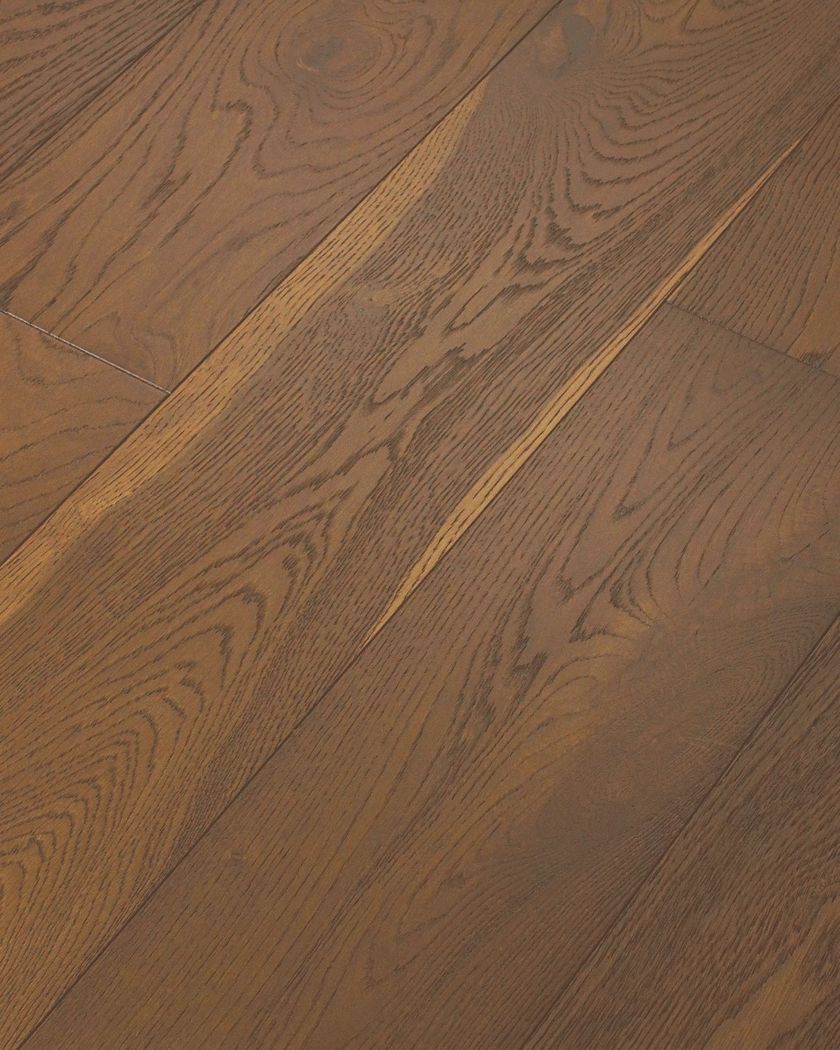 EXPRESSIONS MUSE ANGLED