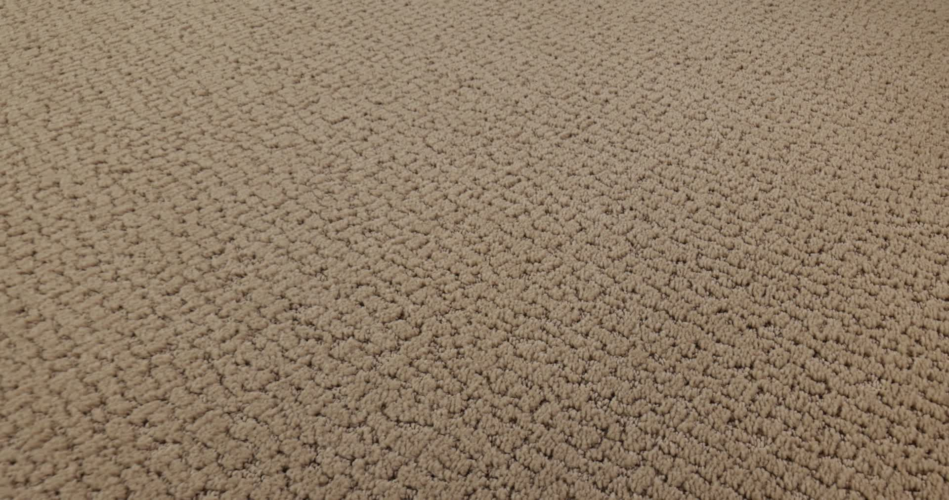 STUDIO SET WORN PATH 360PROD