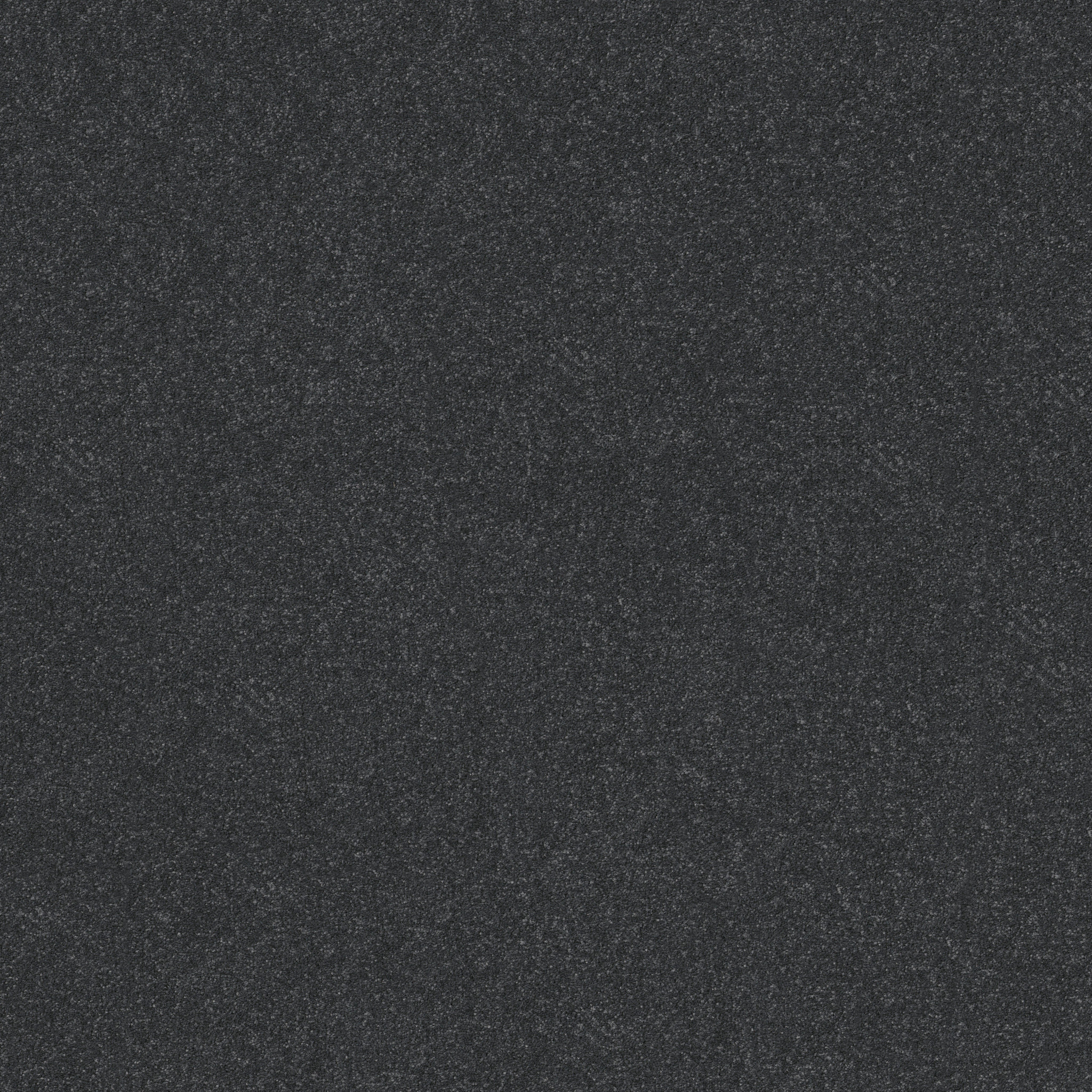 HARD AT PLAY II 12' SHADOW MAIN