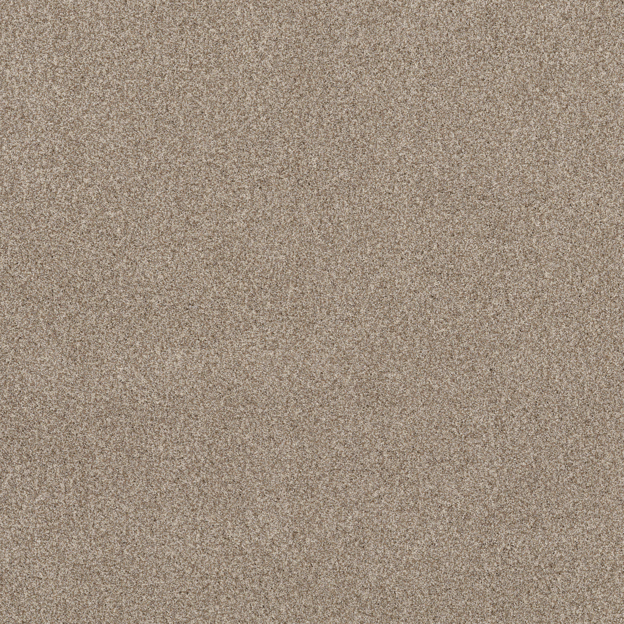 BOSSA NOVA MEDITATION MAIN