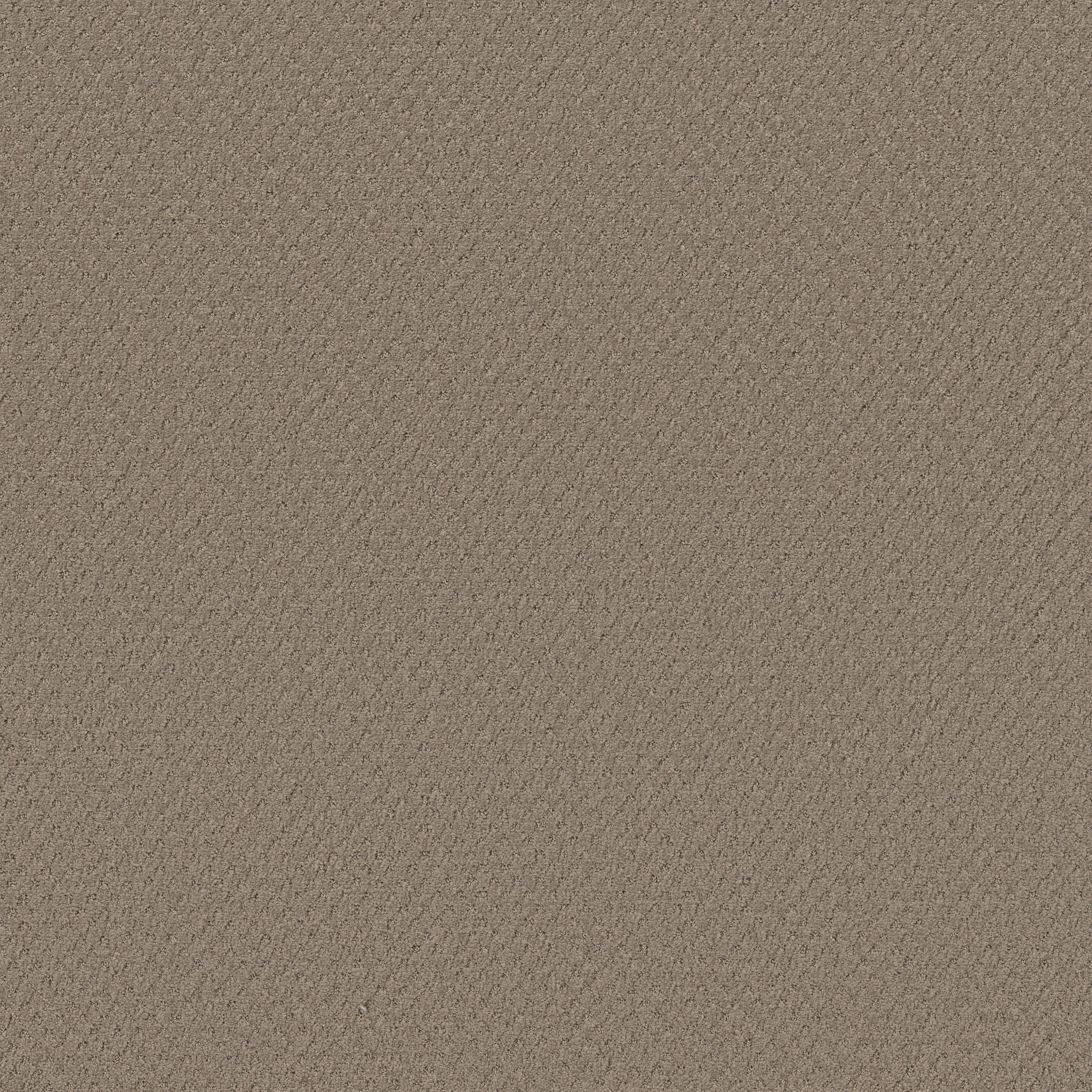 DEL VISTA SHITAKE MAIN