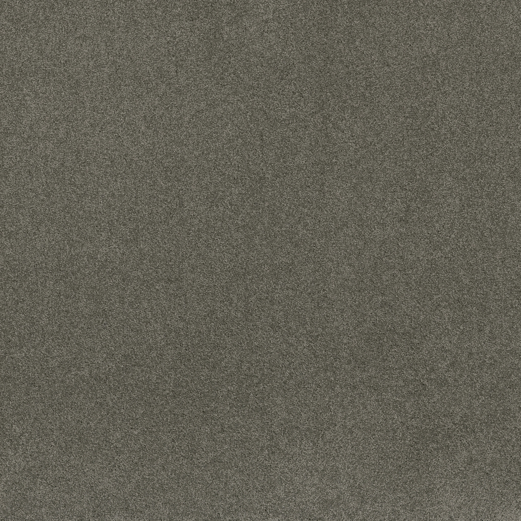 MY CHOICE III FOG MAIN