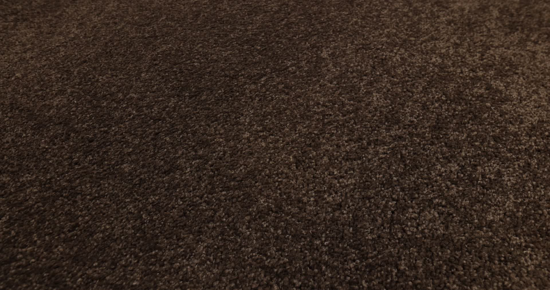 LOYAL BEAUTY III APPLE BUTTER 360PROD