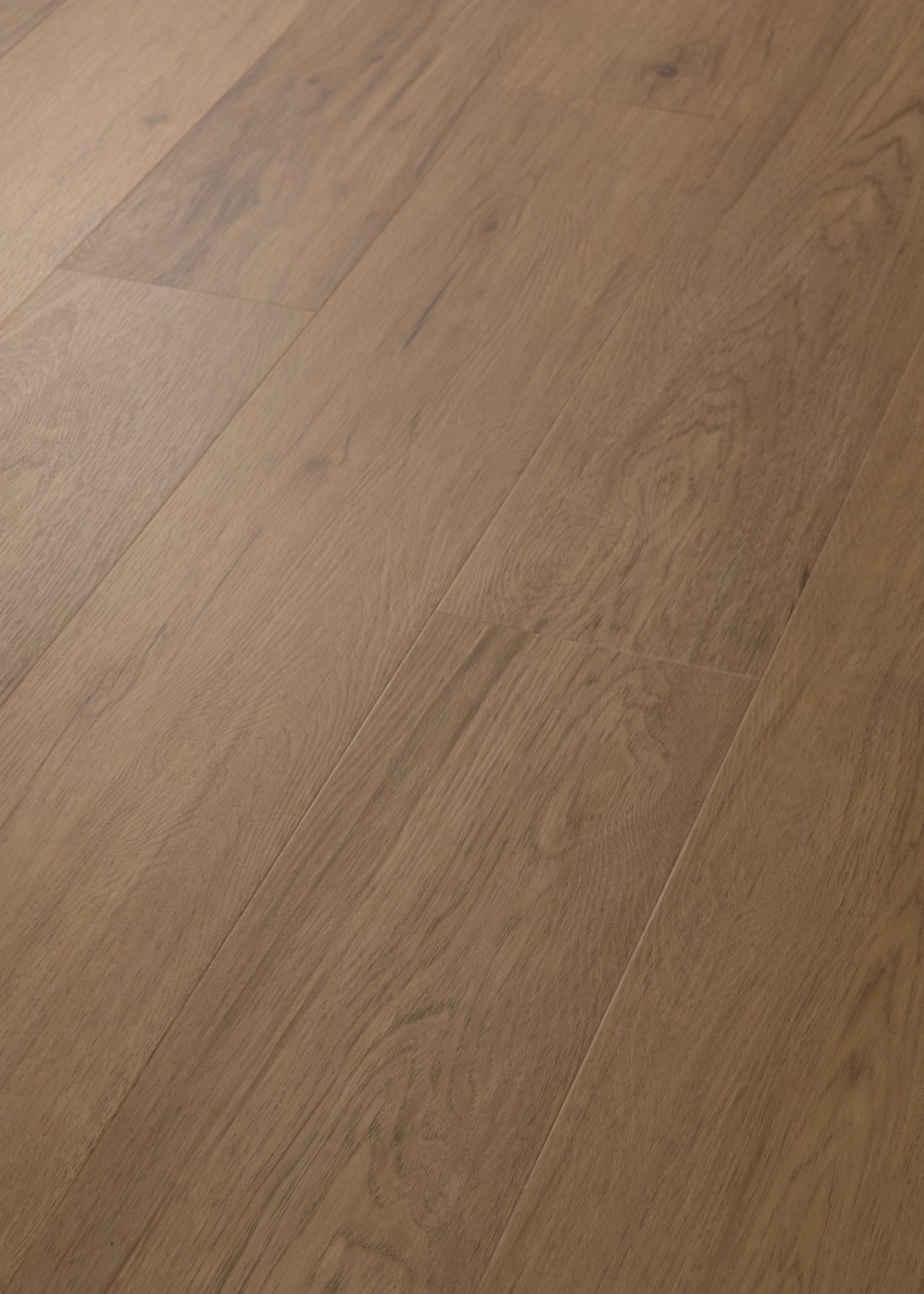 IGNITE TOASTED ALDER ANGLED