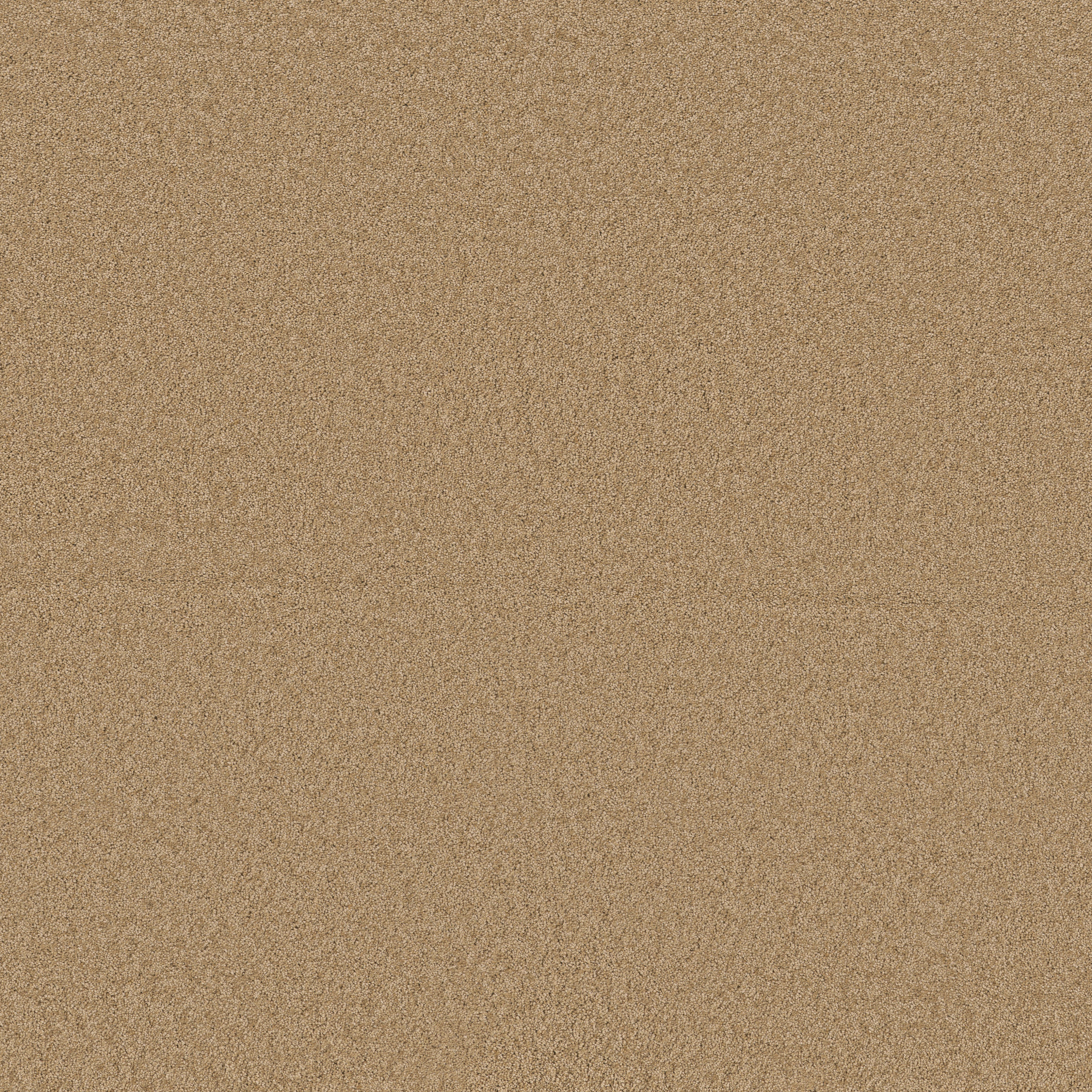 ENCHANTING WINTER WHEAT MAIN