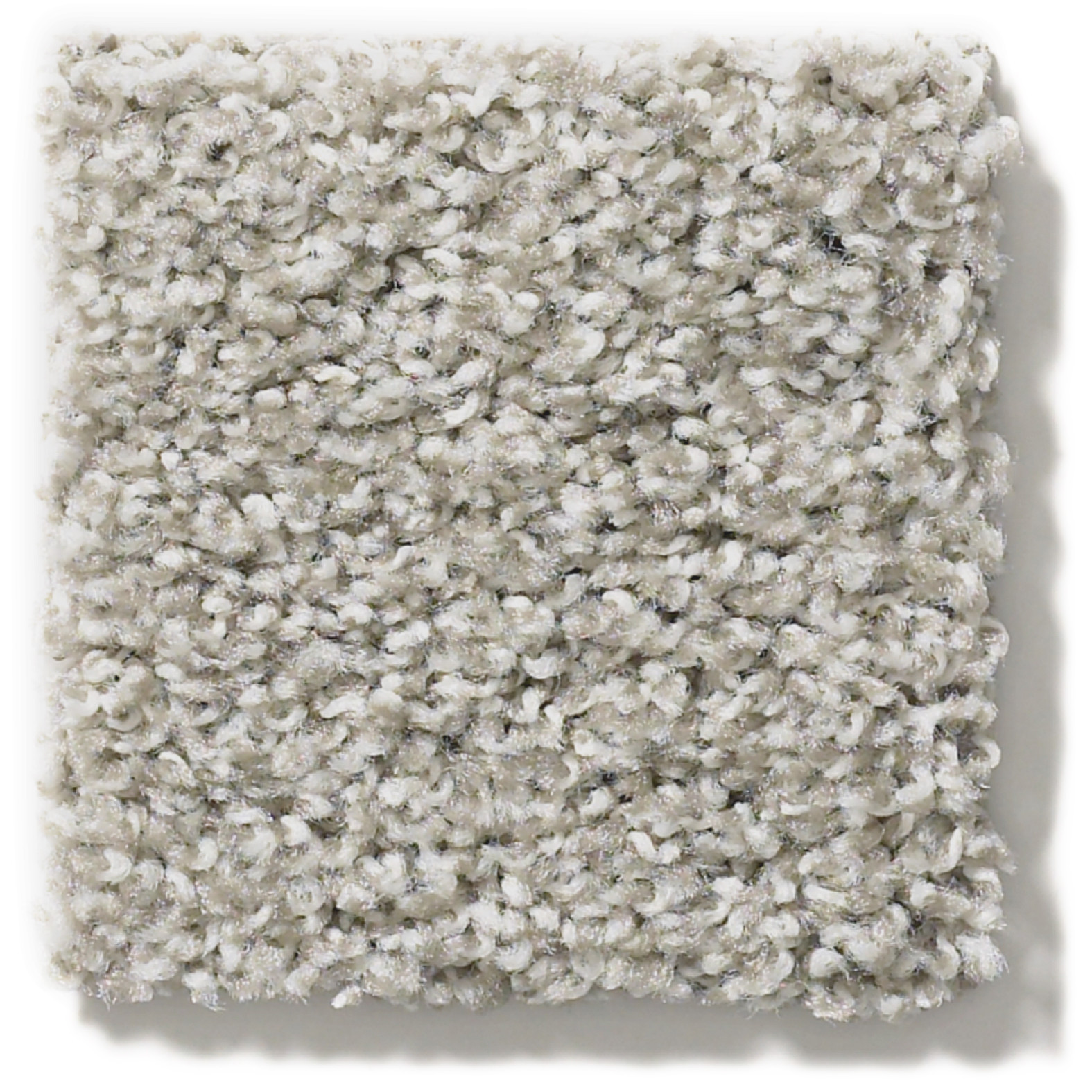 POISED WINTER BIRCH SWATCH