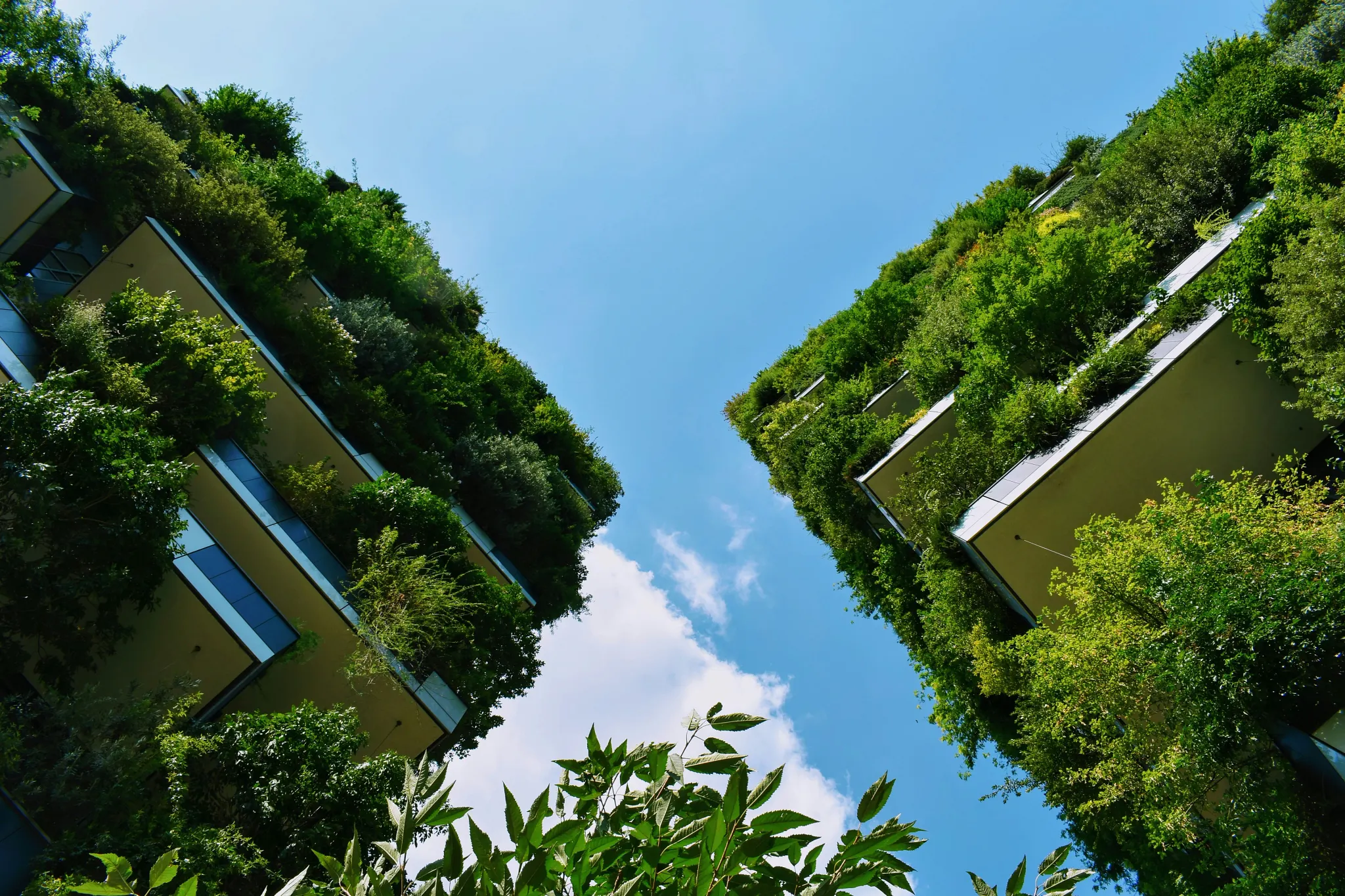 Multi-storey buildings covered in vegetation showcasing biophilic design and sustainable architecture