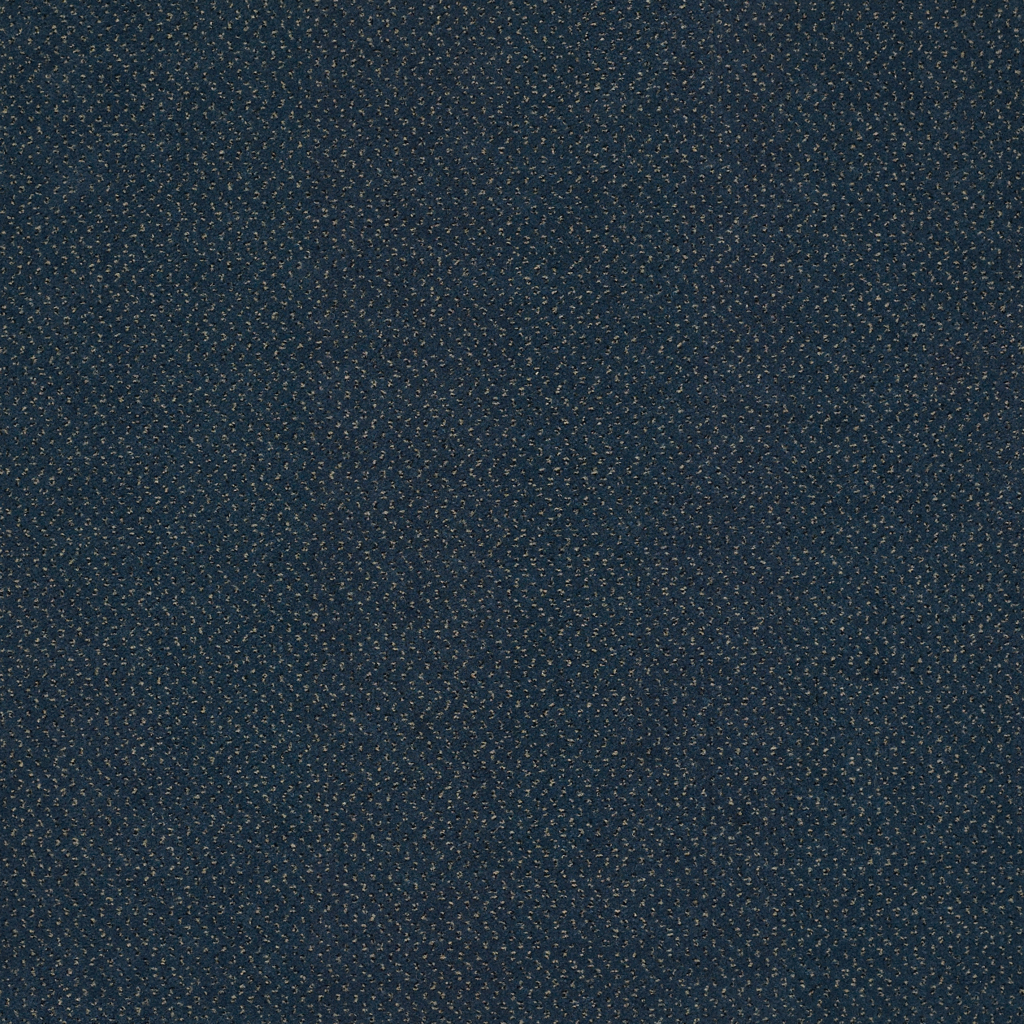 FUTURE-GENERATIONS-54644-NOBLE-44406-main-image