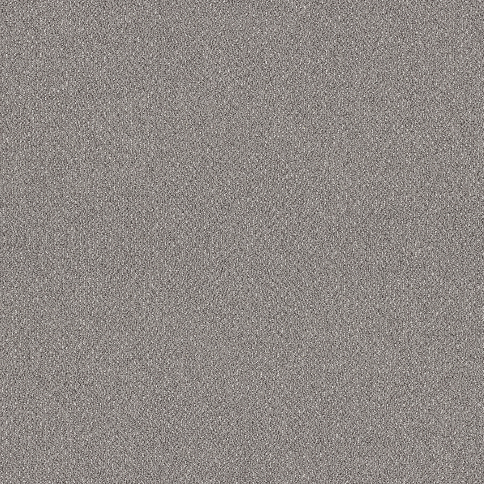 EMBELLISHED CATHEDRAL MAIN