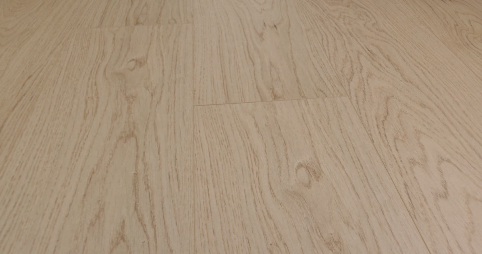 OAK GROVE PAMPAS GRASS 360PROD