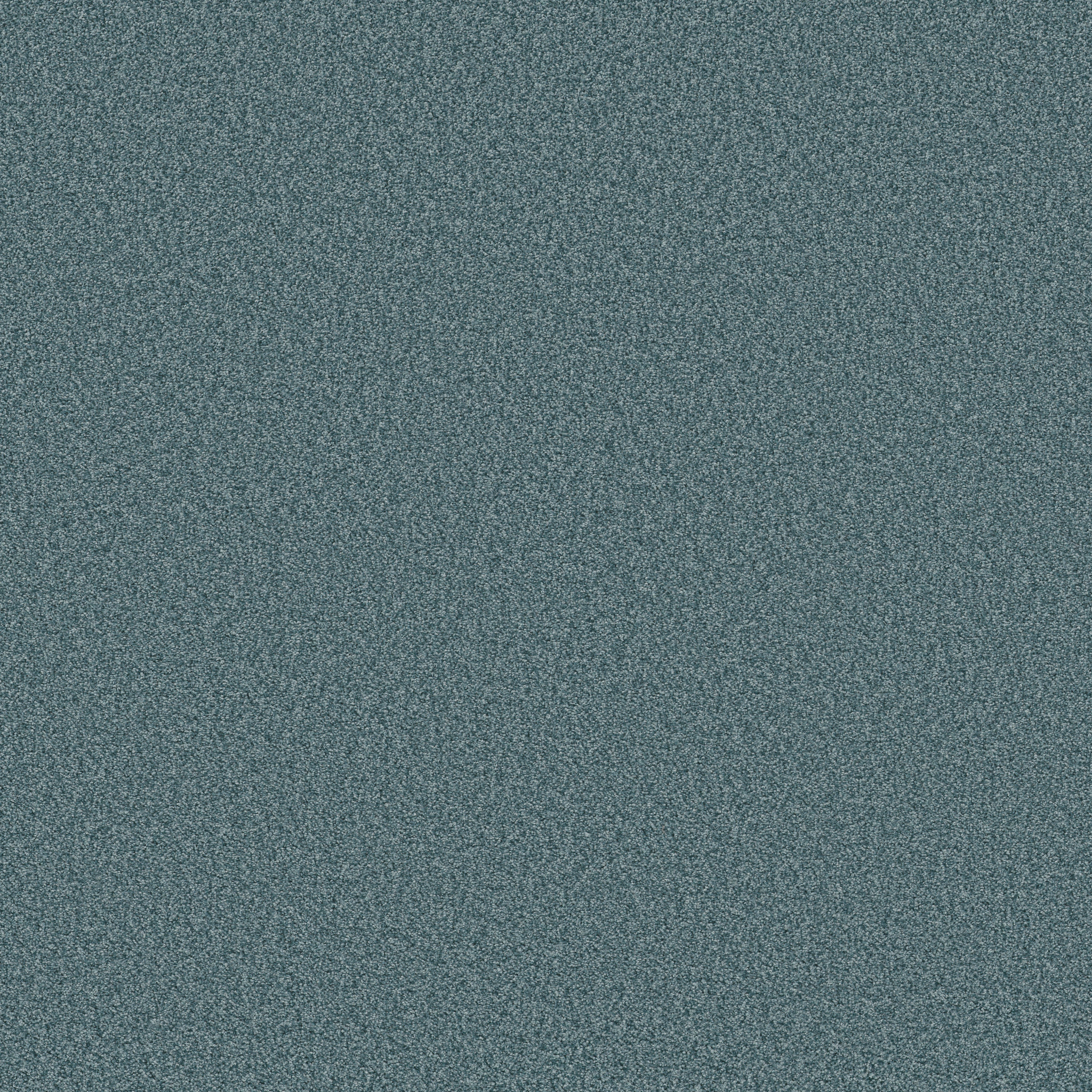 TONAL COMFORT BLUE LIFE OF THE PARTY MAIN