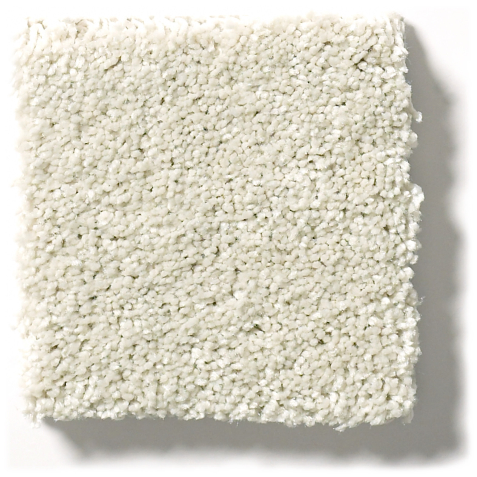 BASIC RULES CREAMERY SWATCH