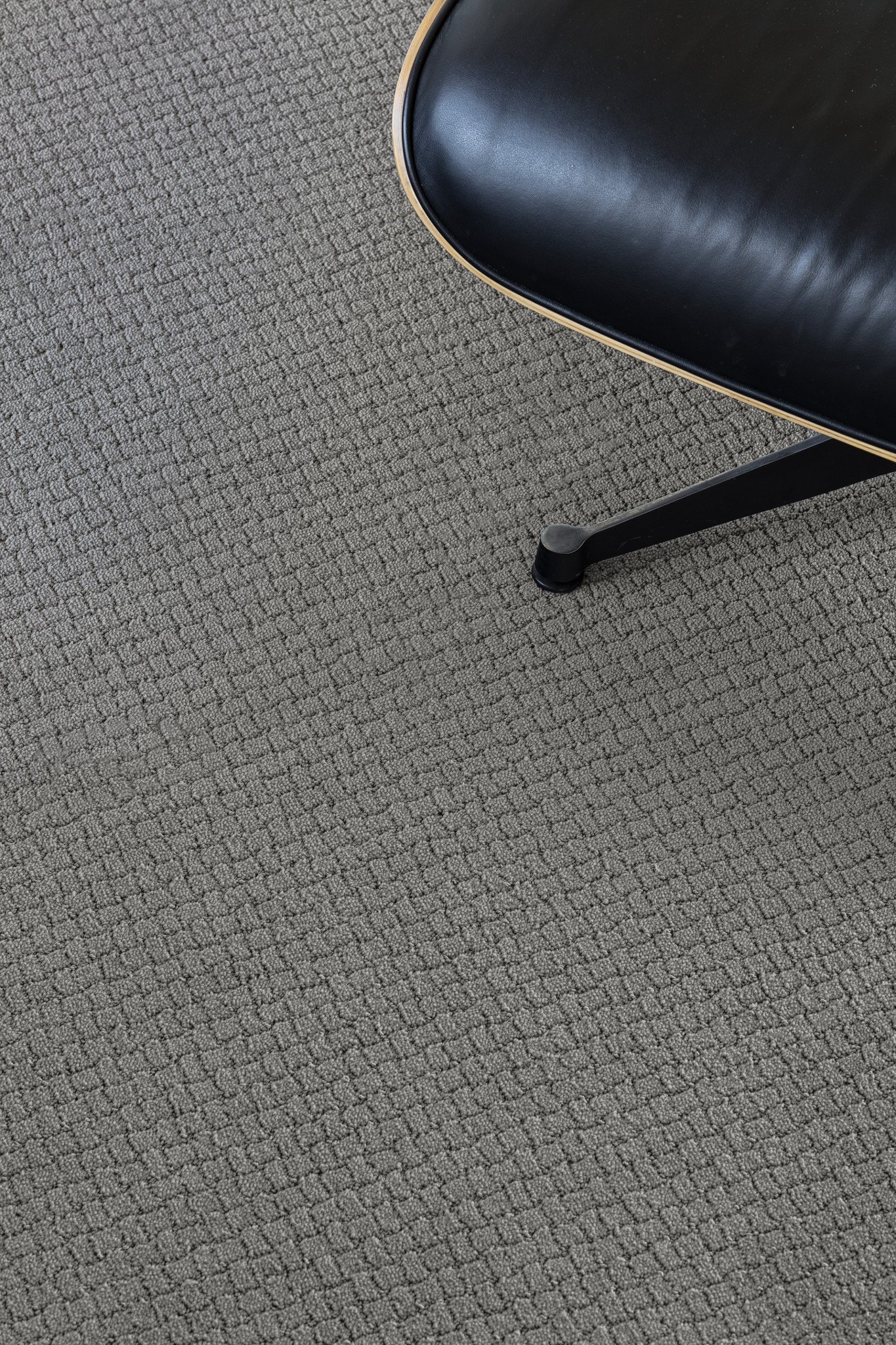 PAWSTRUCK PORTLAND StaticImage06