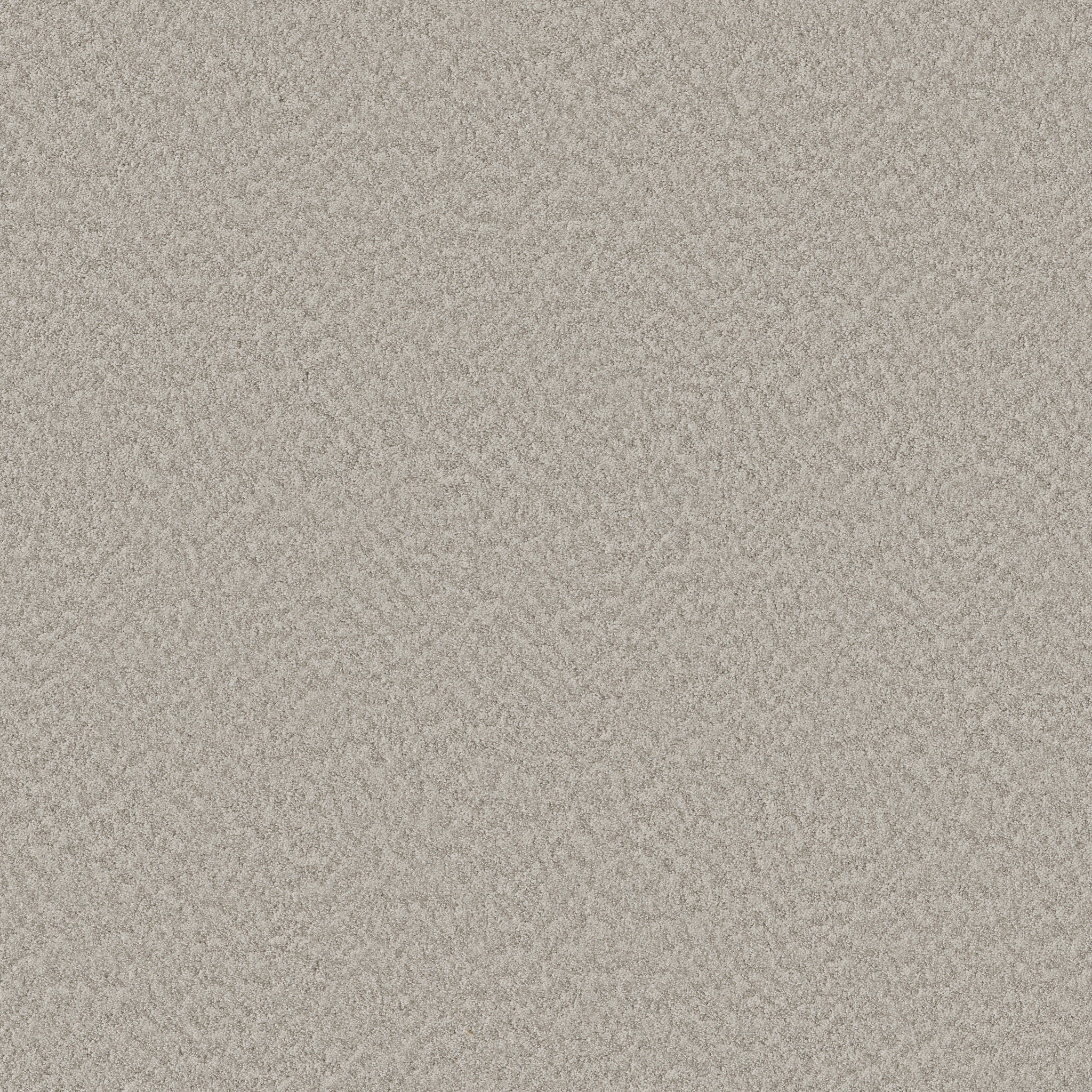 ALLURING CANVAS SPLIT SEDIMENT MAIN