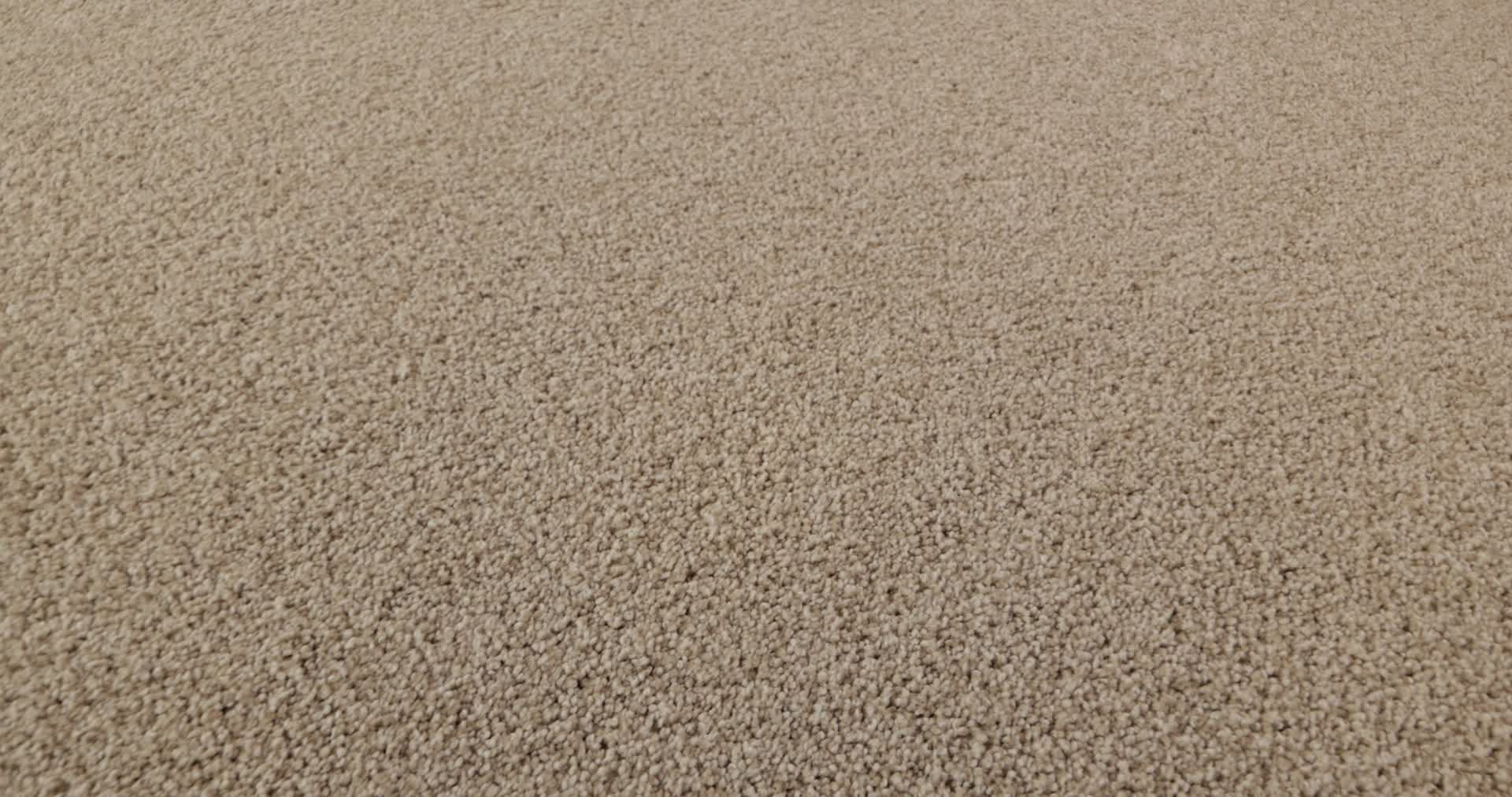 COMFORTING II WILD RICE 360PROD