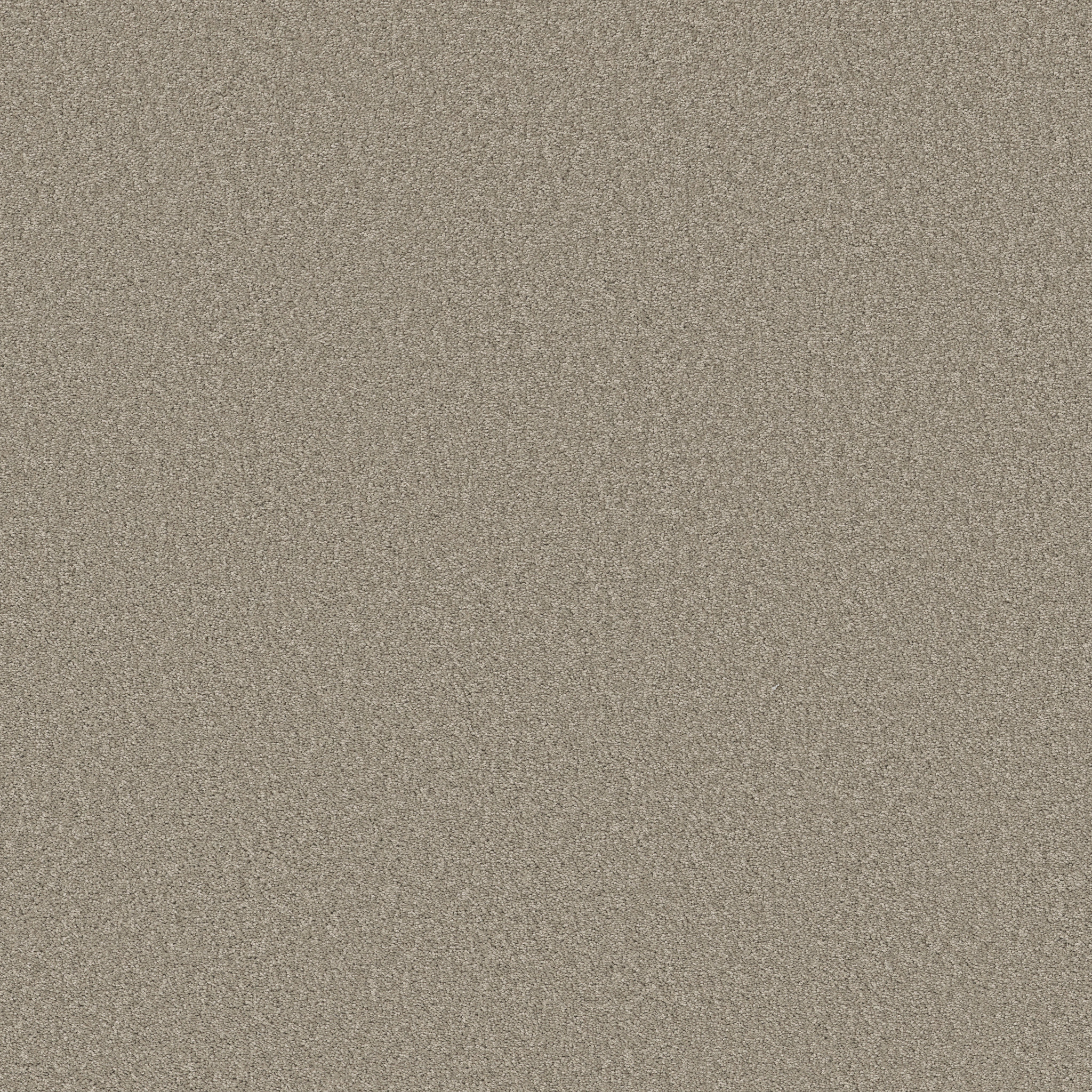 WHY NOT ME PICTURE FRAME MAIN