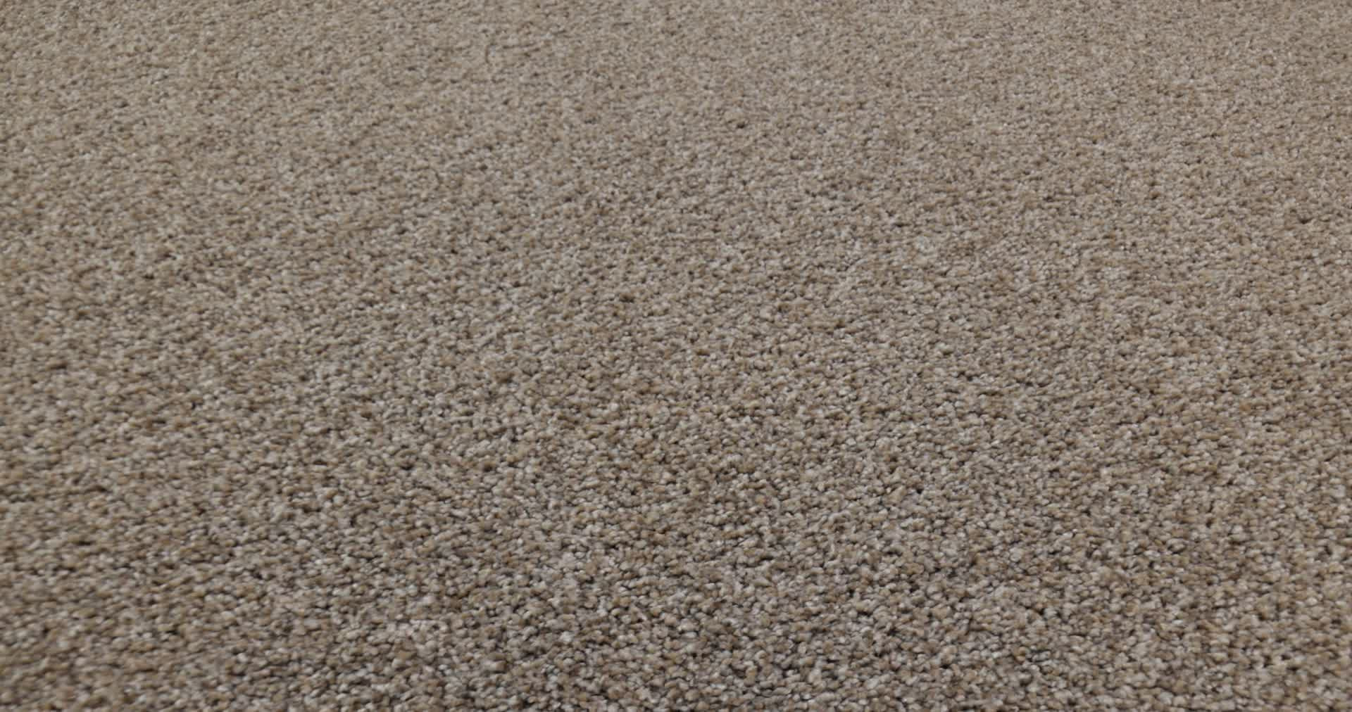 REFINED BEAUTY MUSHROOM 360PROD