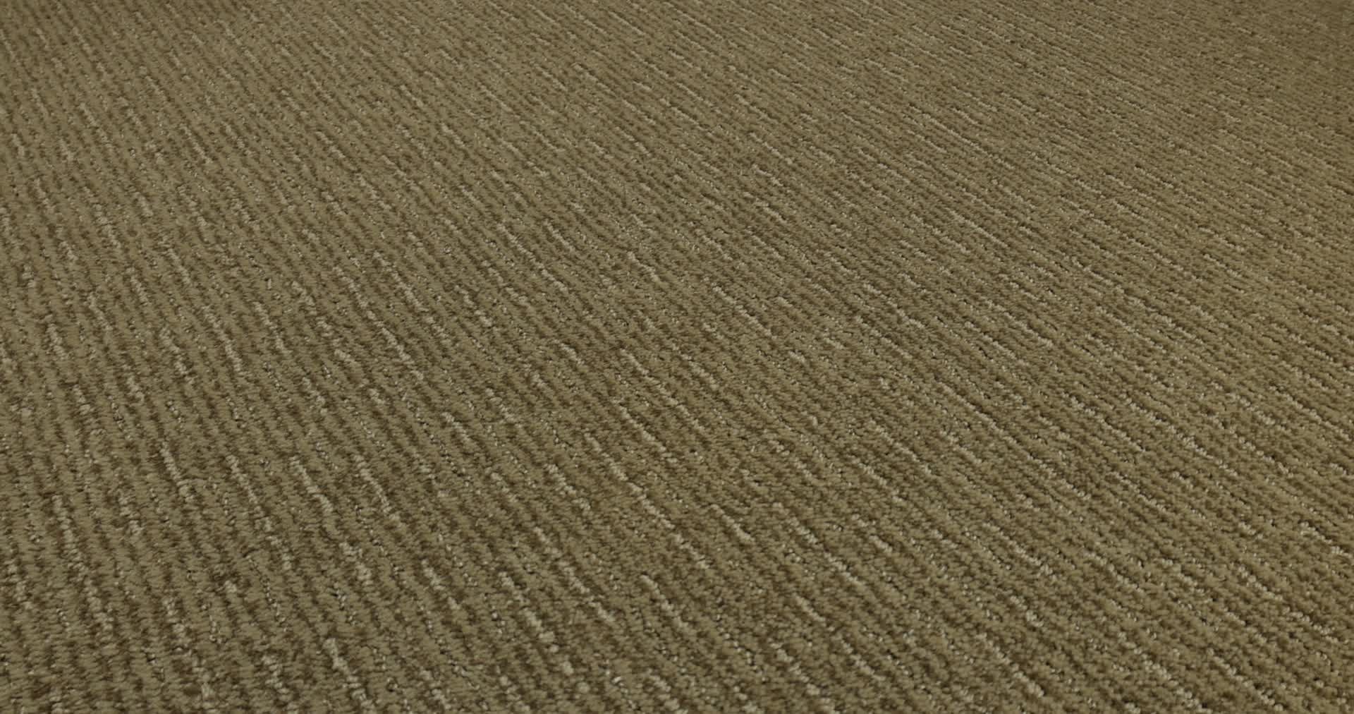 INSIGHTFUL WAY SUMMERVILLE 360PROD