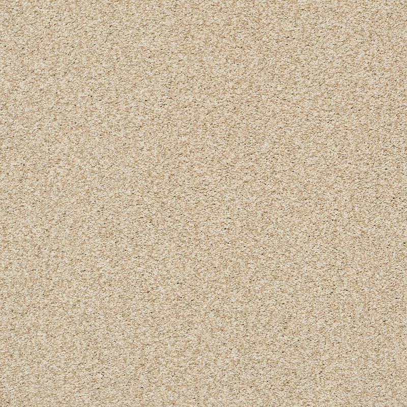 close up image of beige cut pile carpet