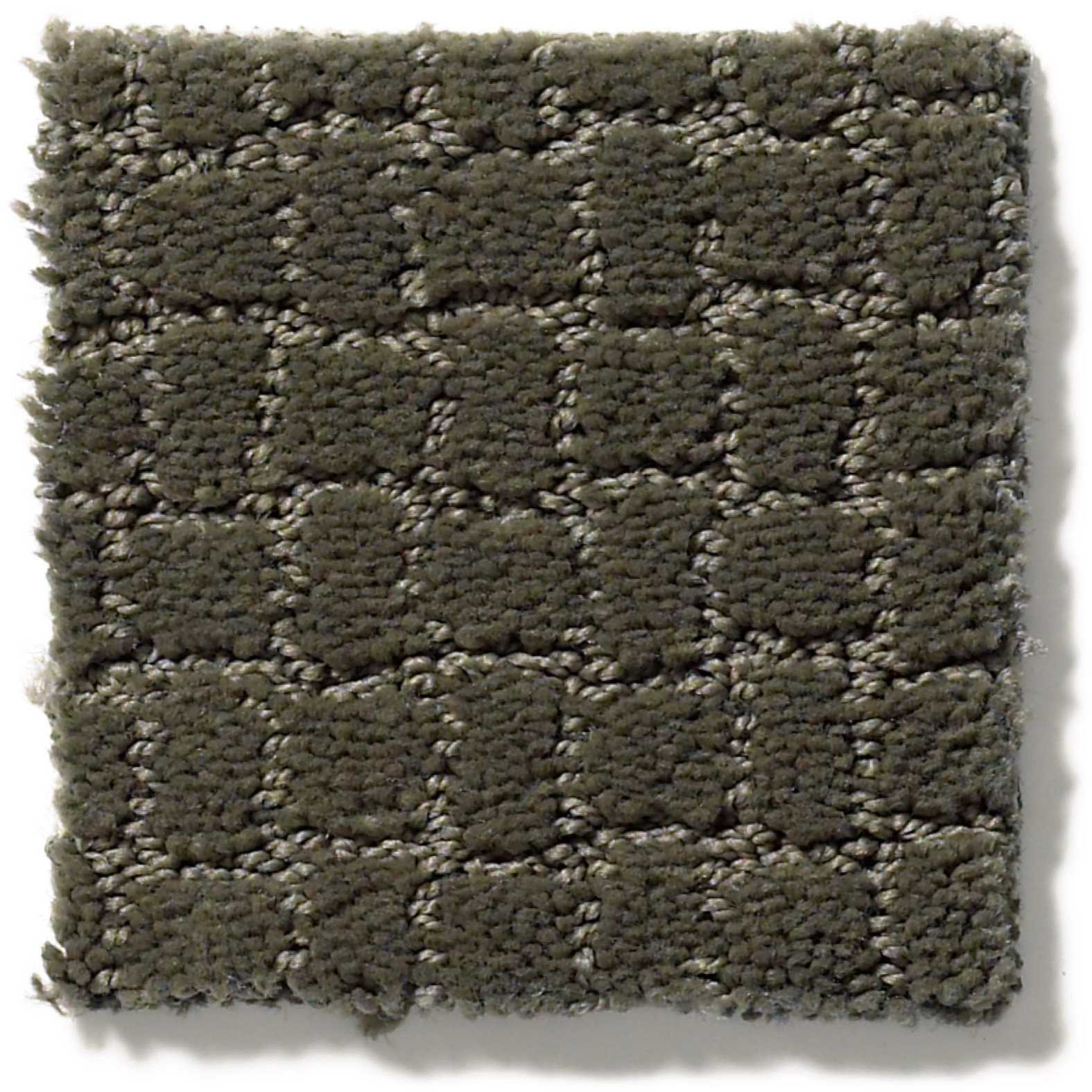 PAWSTRUCK SMOKED OYSTER SWATCH