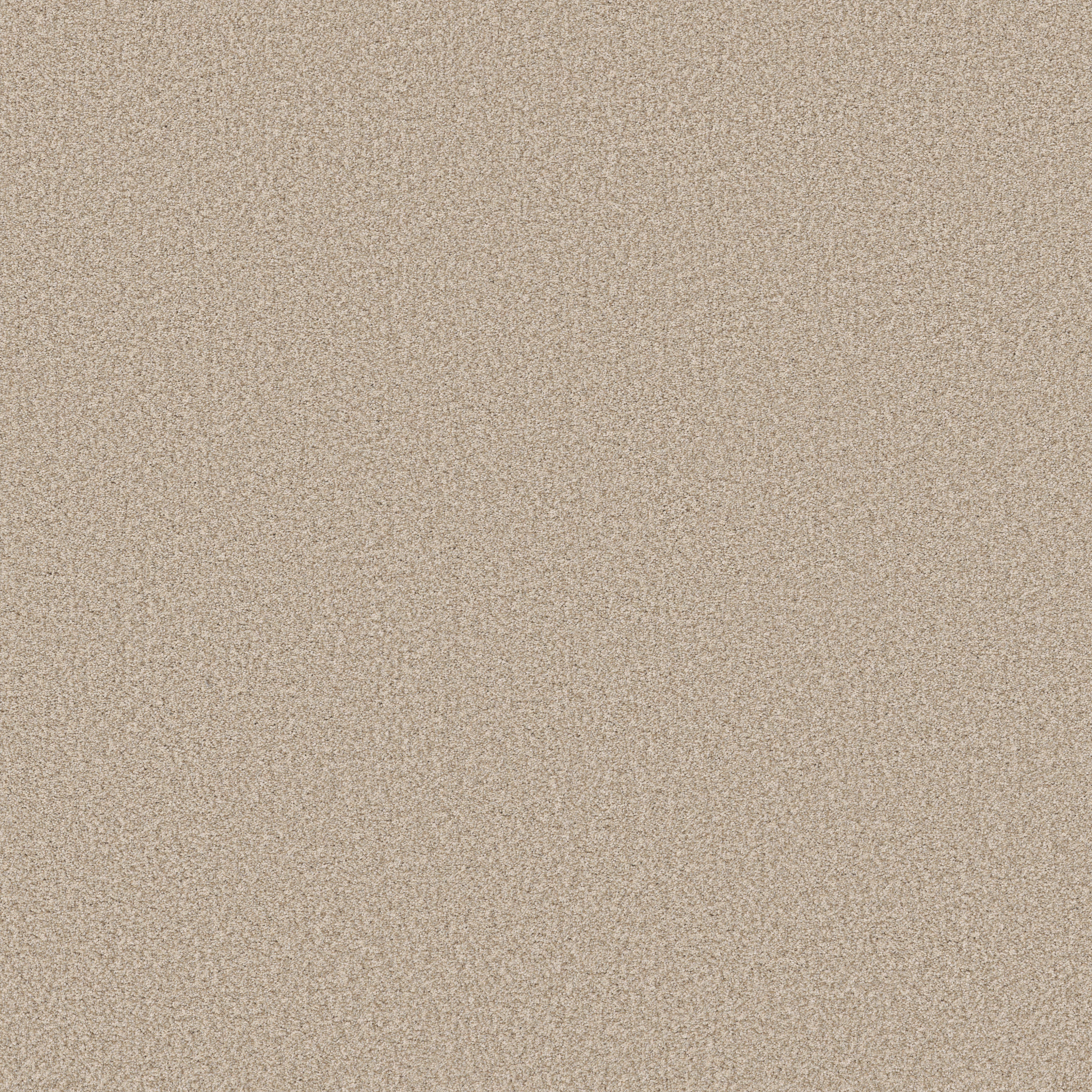Somerset - 100% ANSO® High Performance Nylon in Windswept